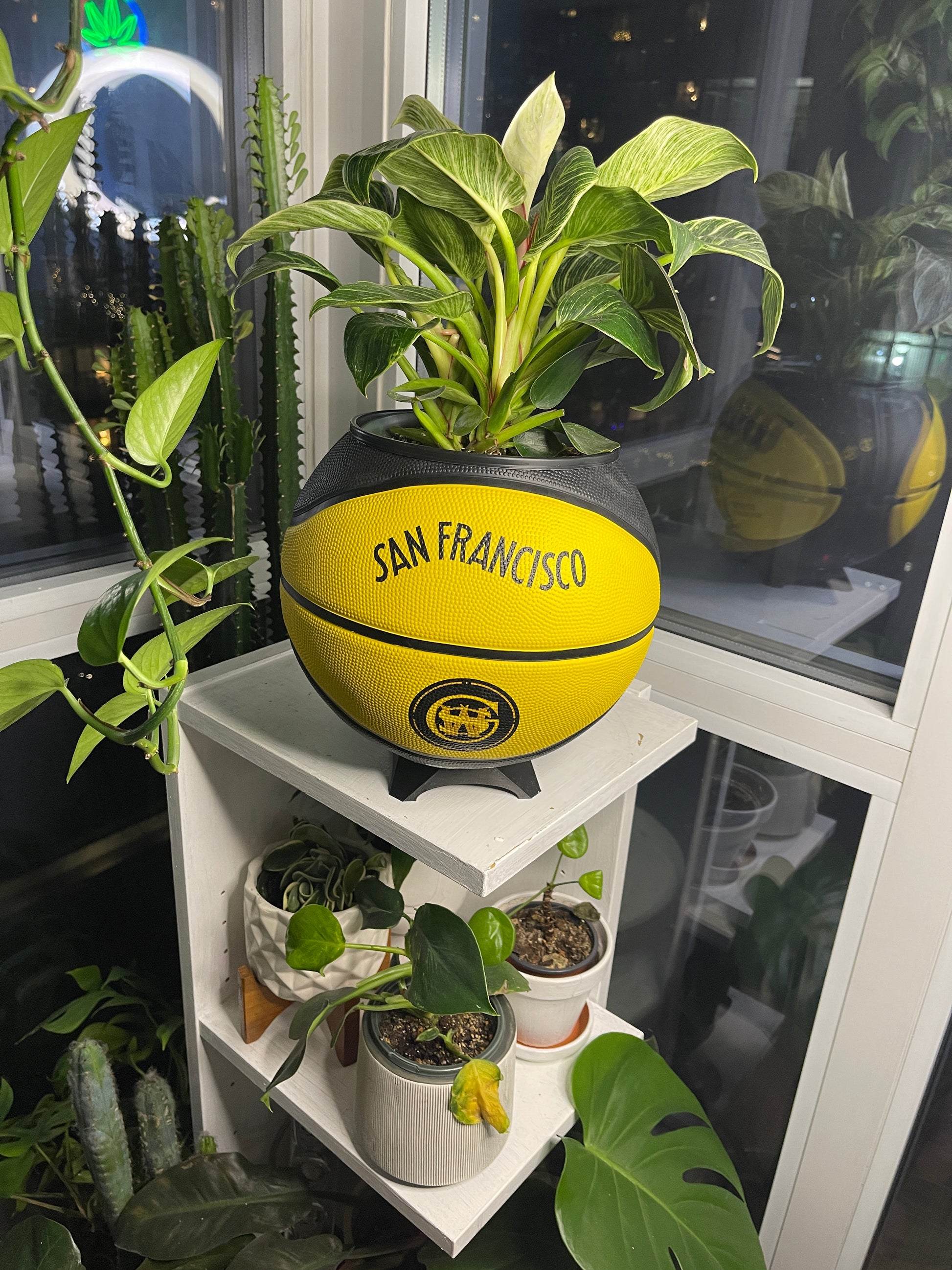 Large Basketball Planter (Golden State Warriors)
