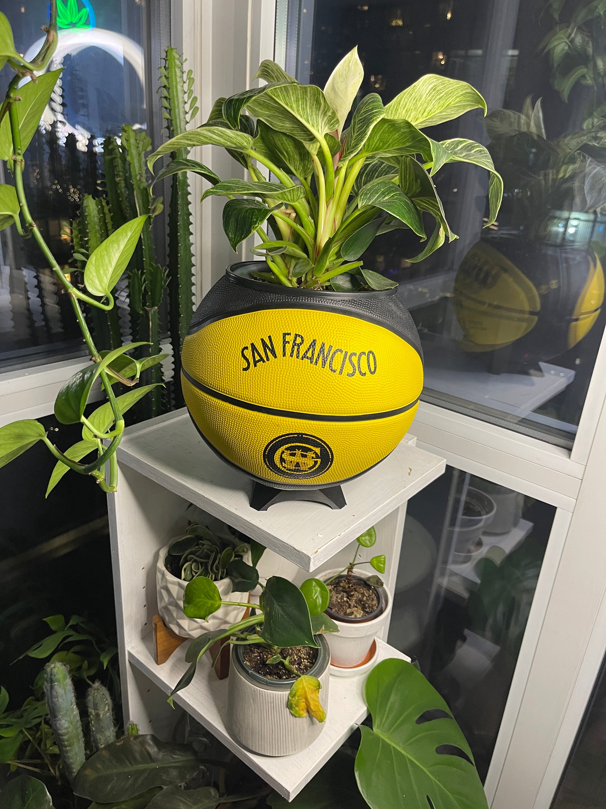 Large Basketball Planter (Golden State Warriors)