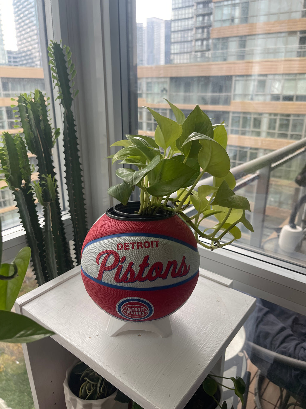 Mini Basketball Planter (Detroit Pistons)
