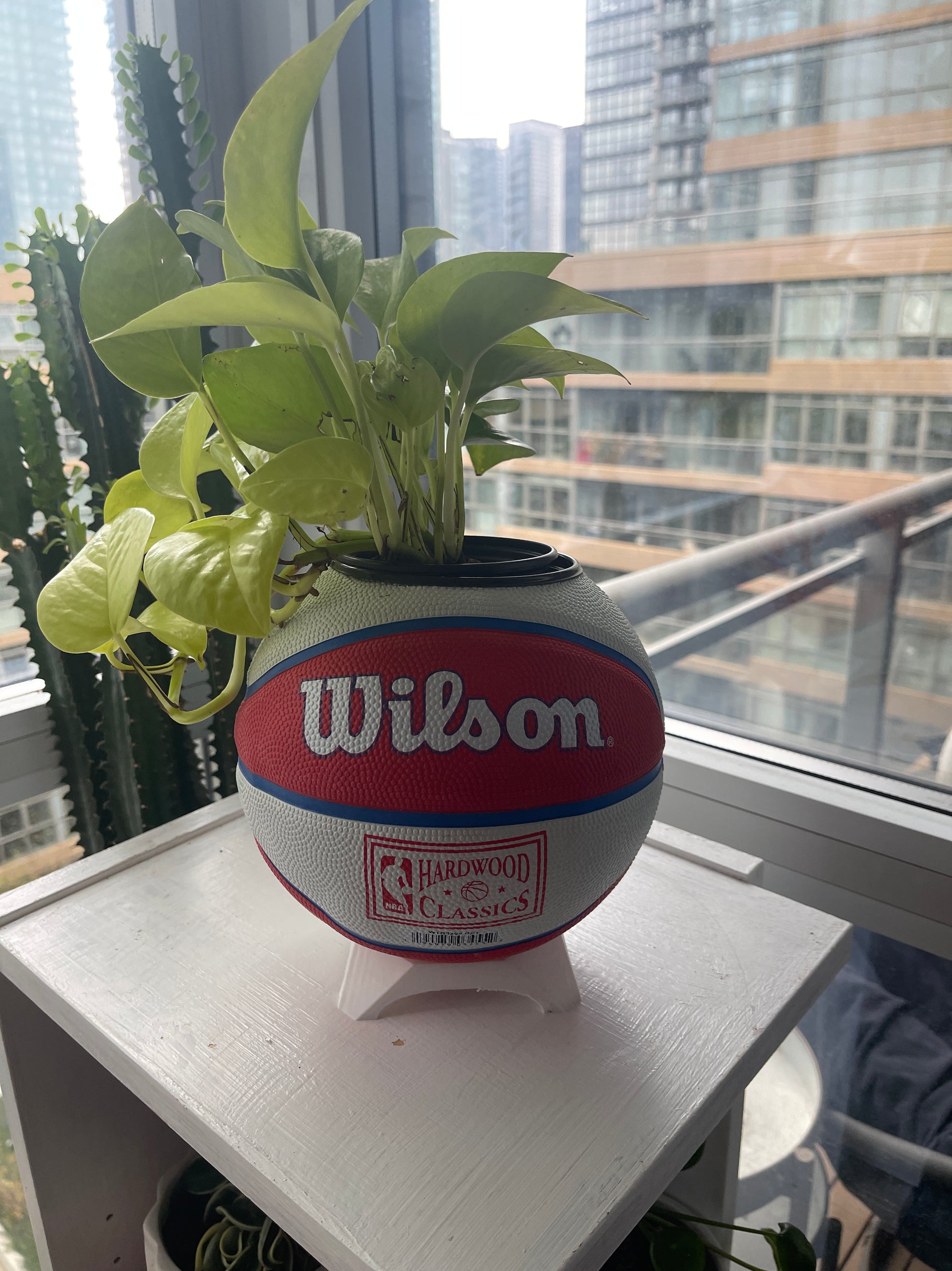Mini Basketball Planter (Detroit Pistons)
