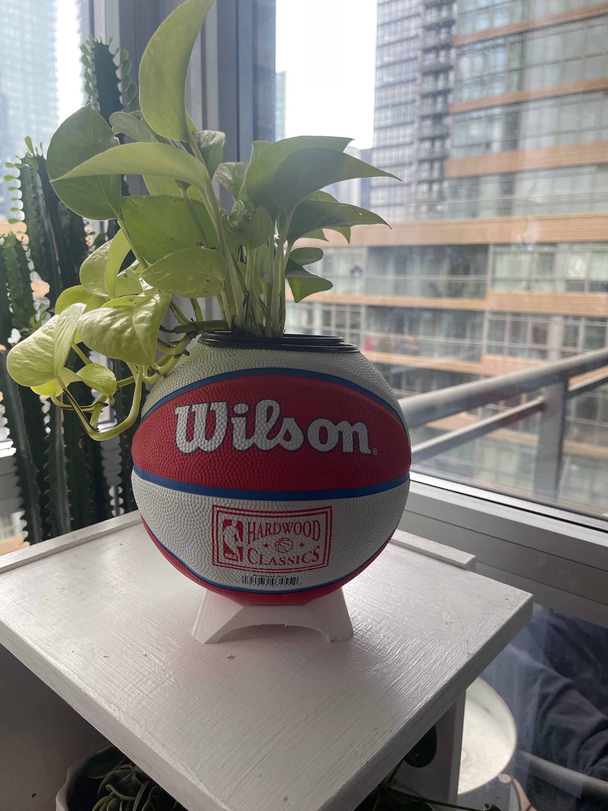 Mini Basketball Planter (Detroit Pistons)