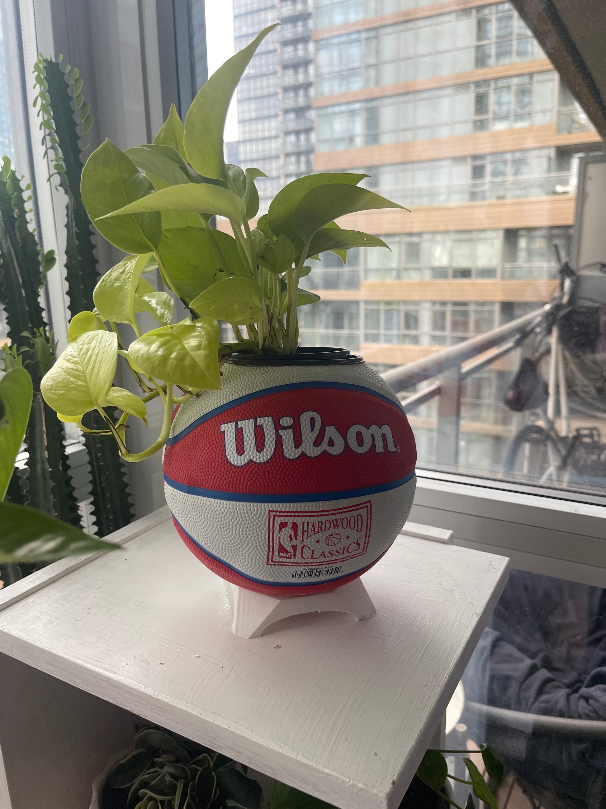 Mini Basketball Planter (Detroit Pistons)