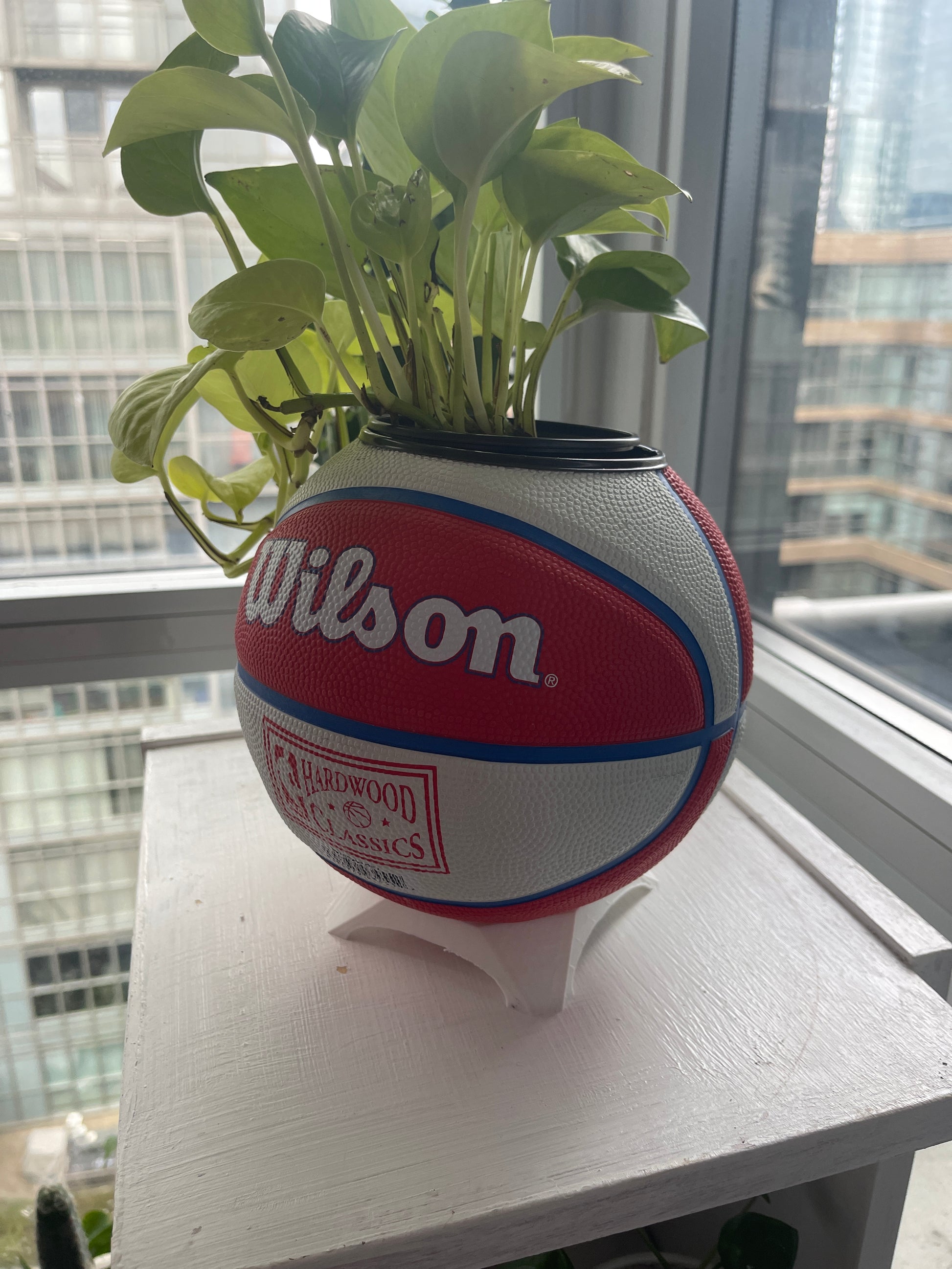 Mini Basketball Planter (Detroit Pistons)