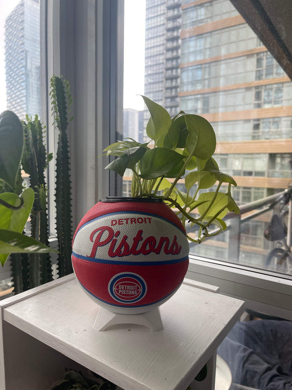 Mini Basketball Planter (Detroit Pistons)