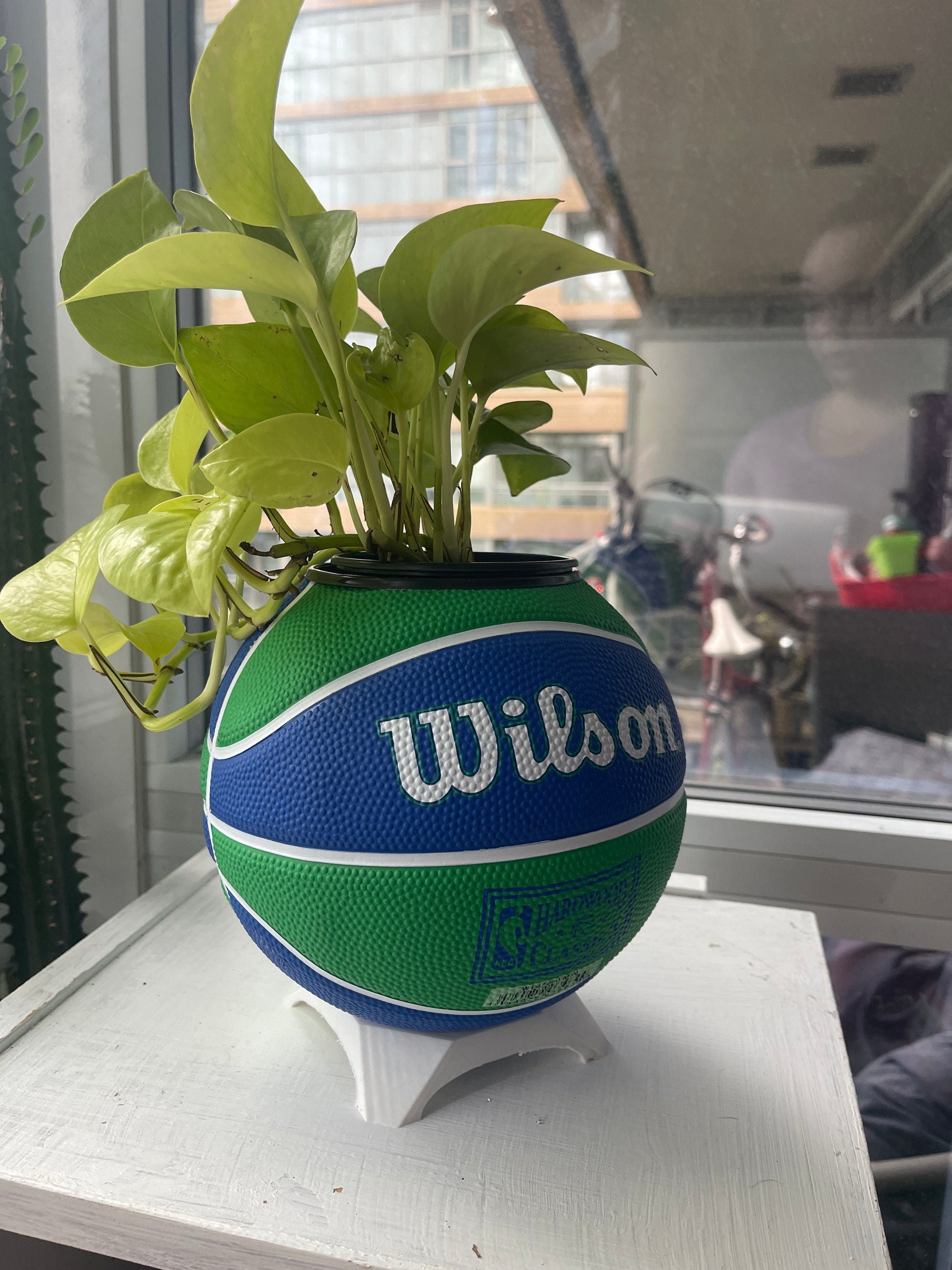 Mini Basketball Planter (Minnesota Timberwolves)