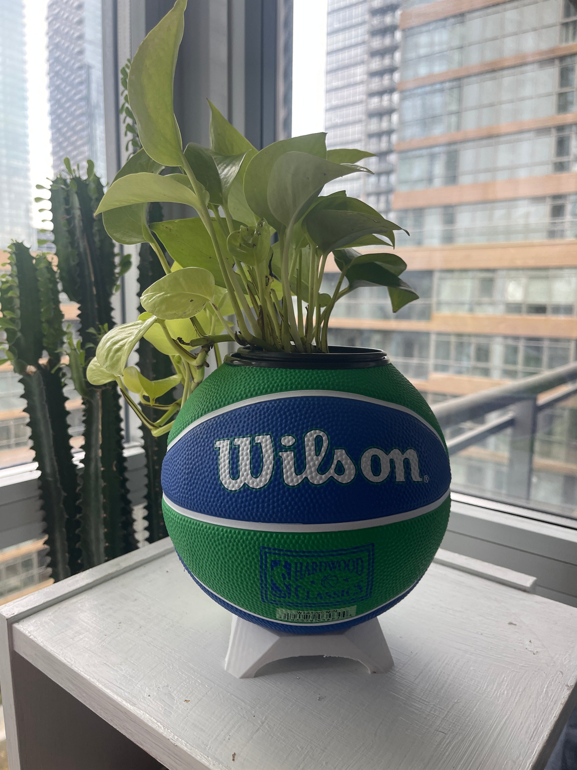 Mini Basketball Planter (Minnesota Timberwolves)