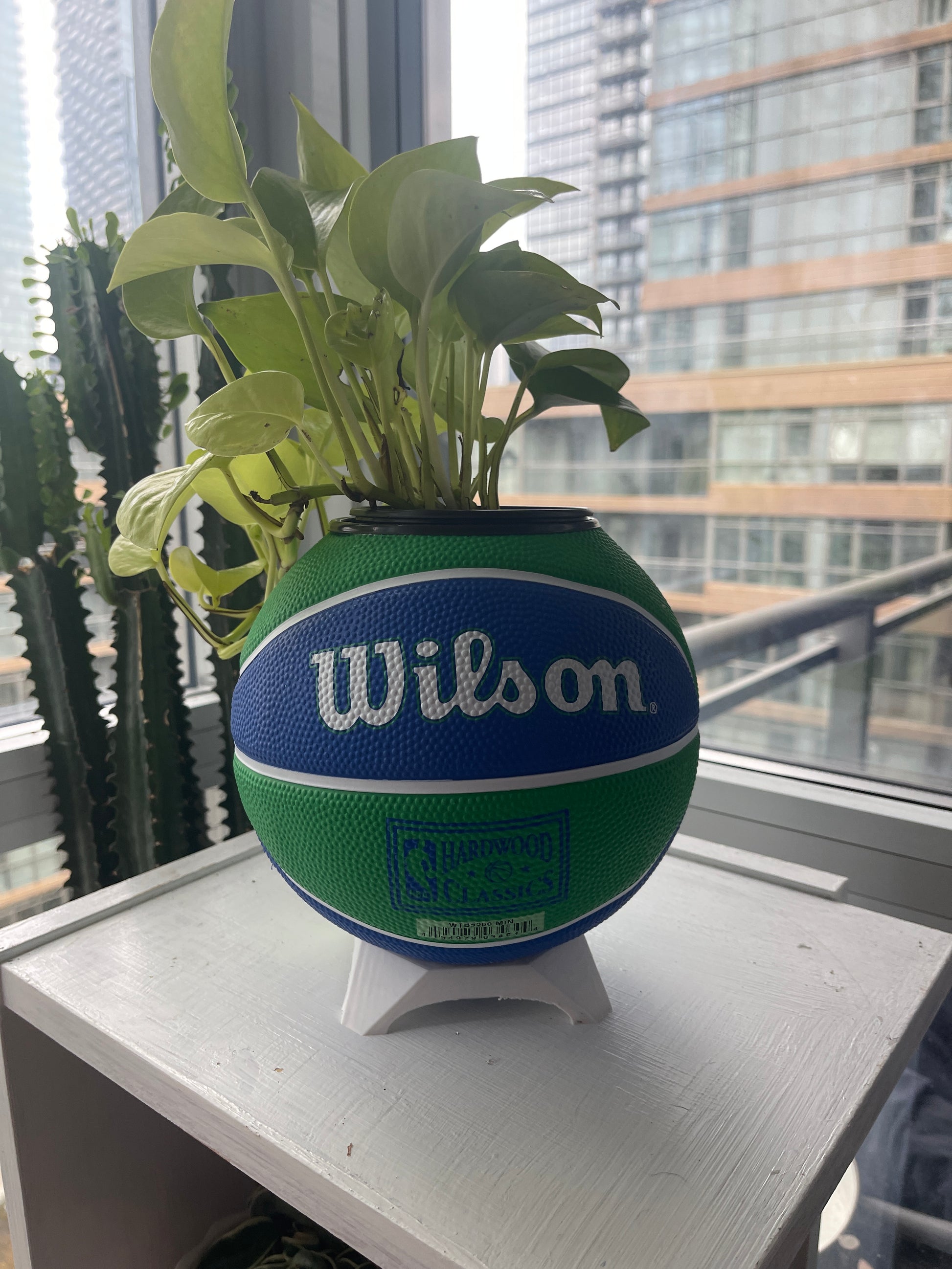 Mini Basketball Planter (Minnesota Timberwolves)