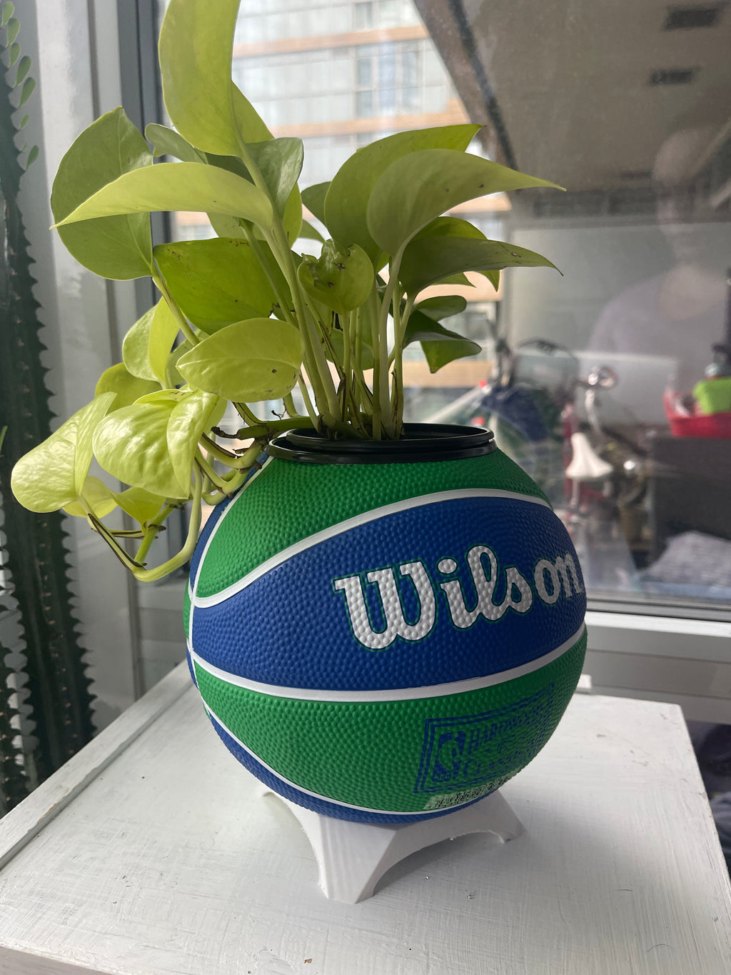 Mini Basketball Planter (Minnesota Timberwolves)