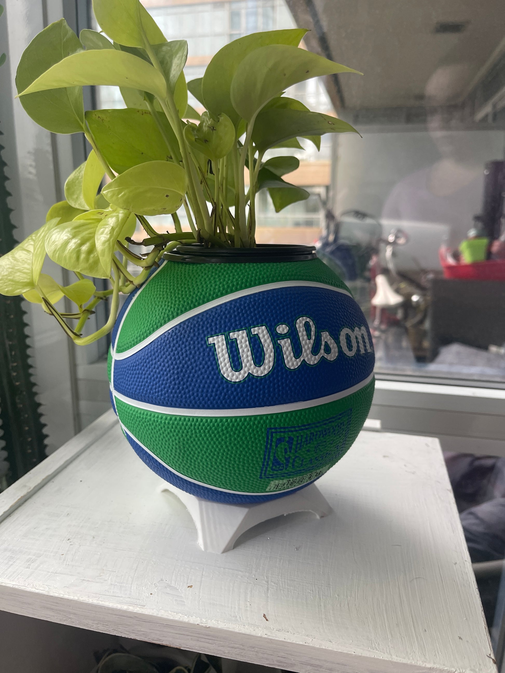 Mini Basketball Planter (Minnesota Timberwolves)