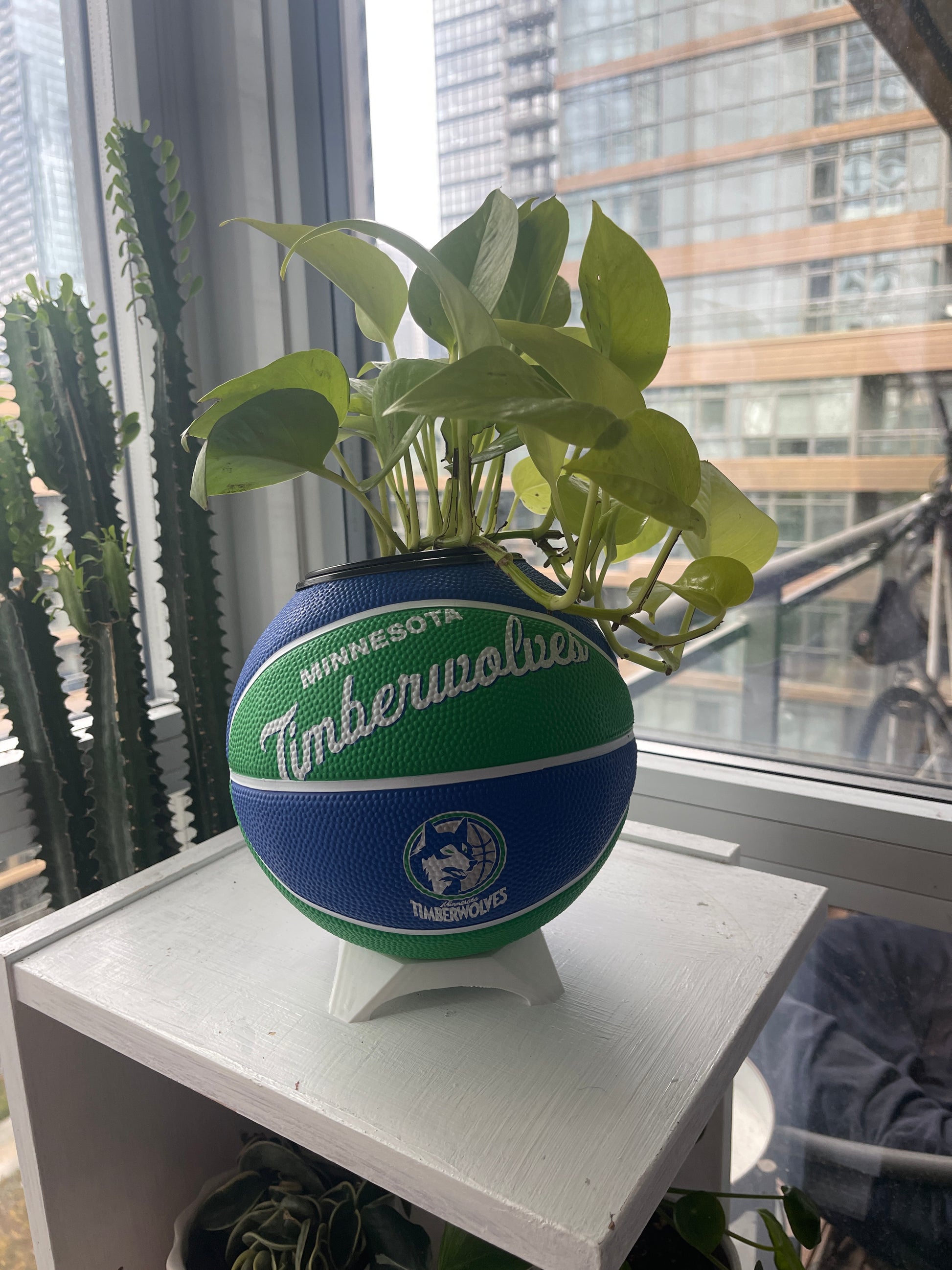 Mini Basketball Planter (Minnesota Timberwolves)