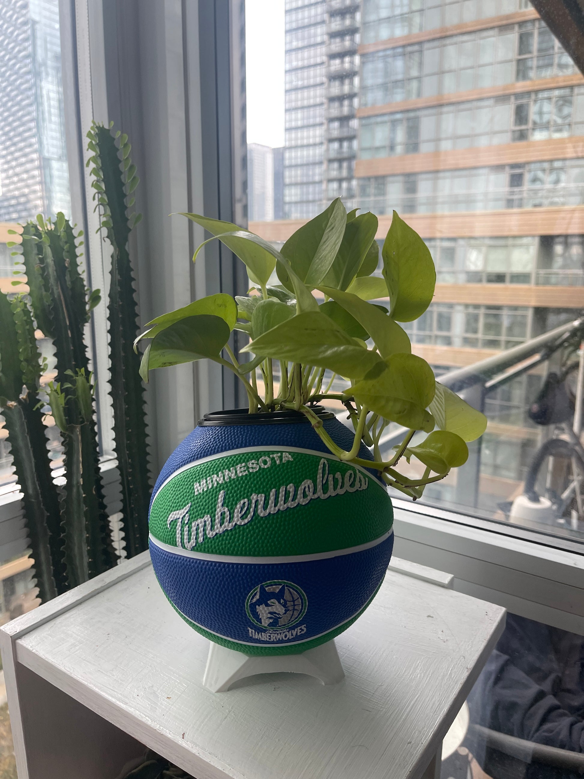 Mini Basketball Planter (Minnesota Timberwolves)