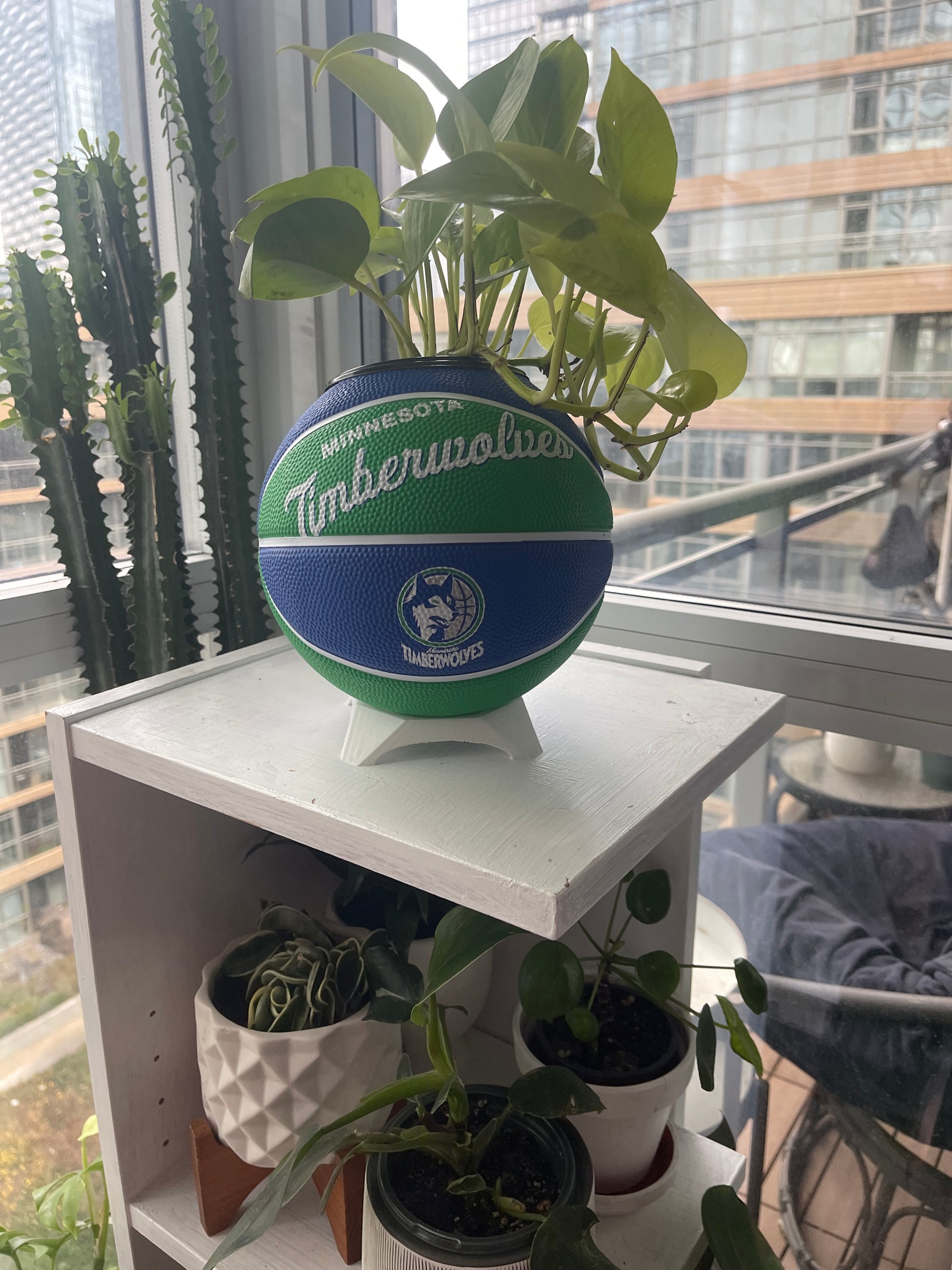 Mini Basketball Planter (Minnesota Timberwolves)