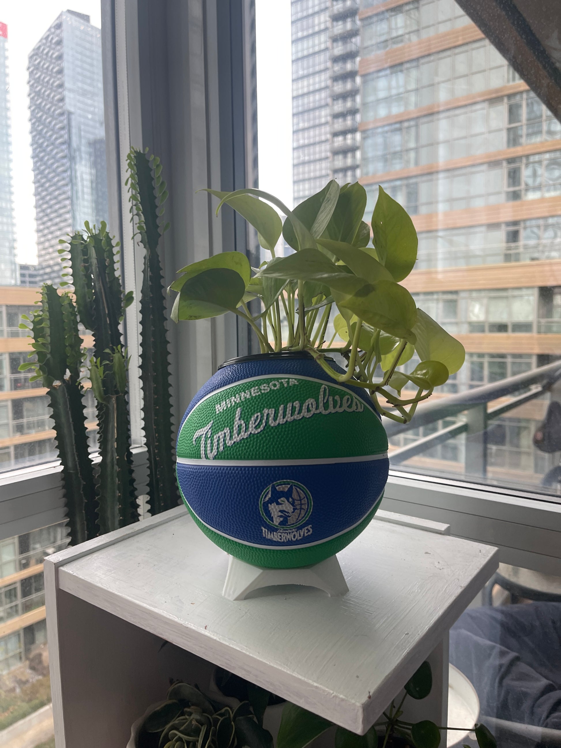 Mini Basketball Planter (Minnesota Timberwolves)