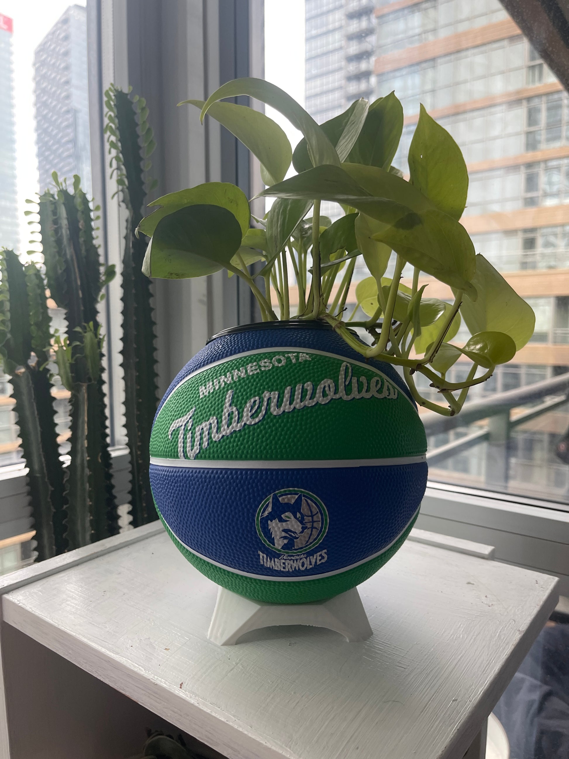 Mini Basketball Planter (Minnesota Timberwolves)