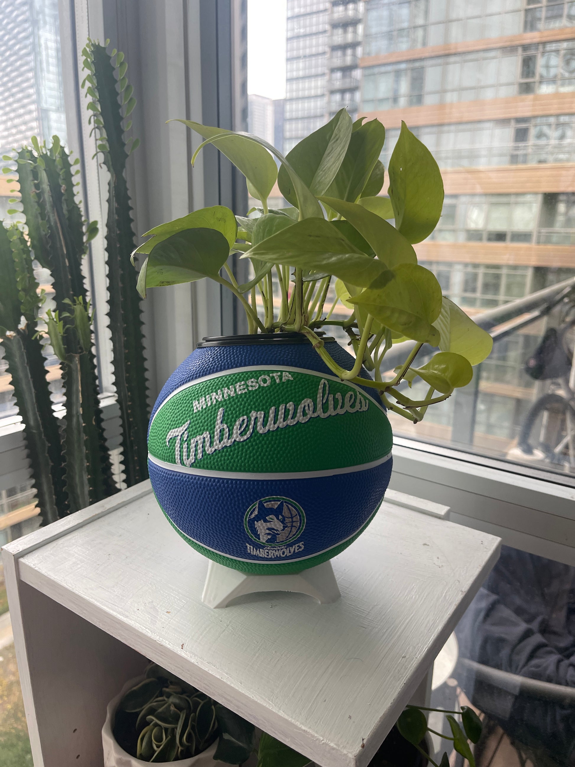 Mini Basketball Planter (Minnesota Timberwolves)