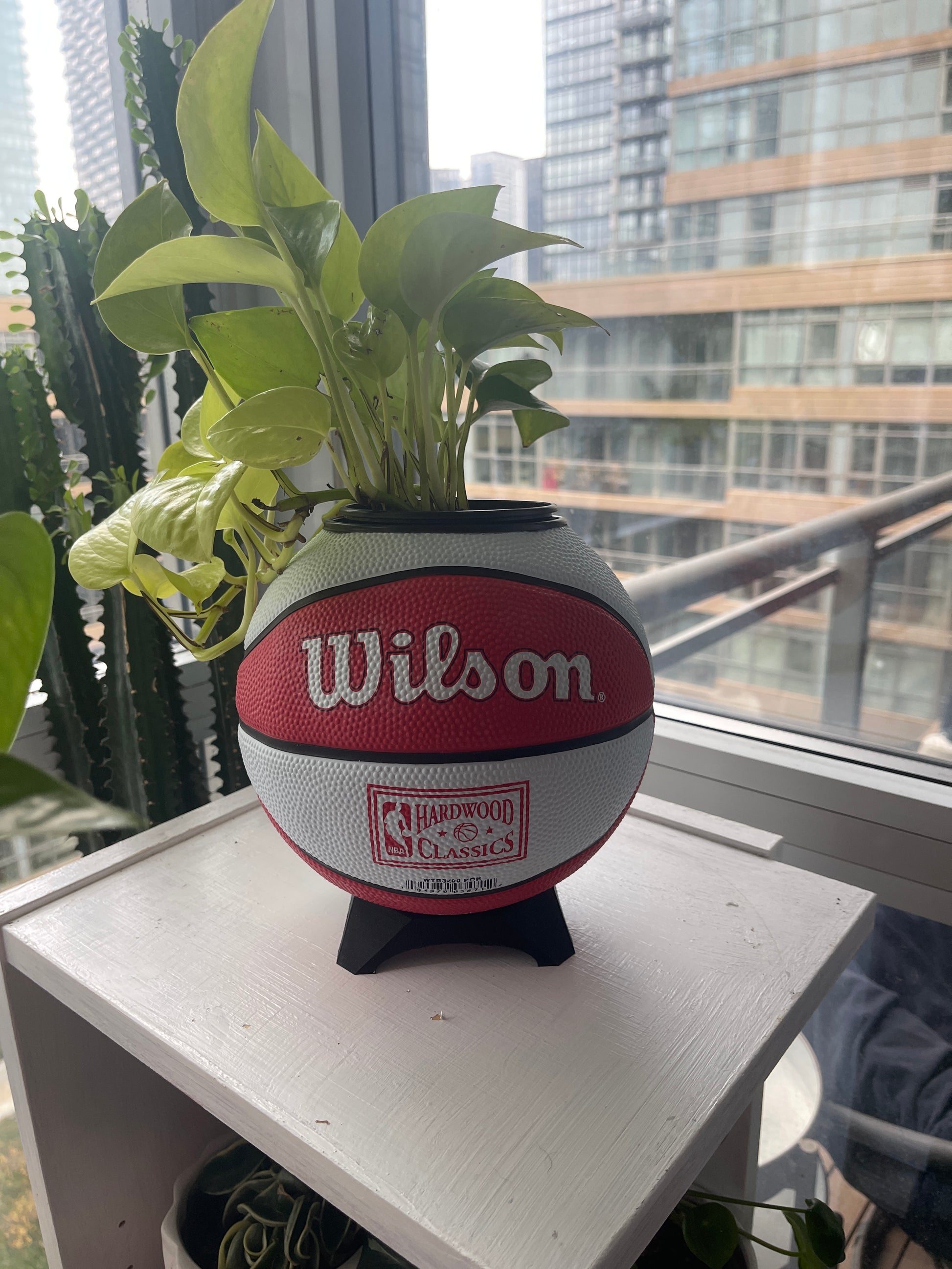Mini Basketball Planter (Portland Trailblazers)
