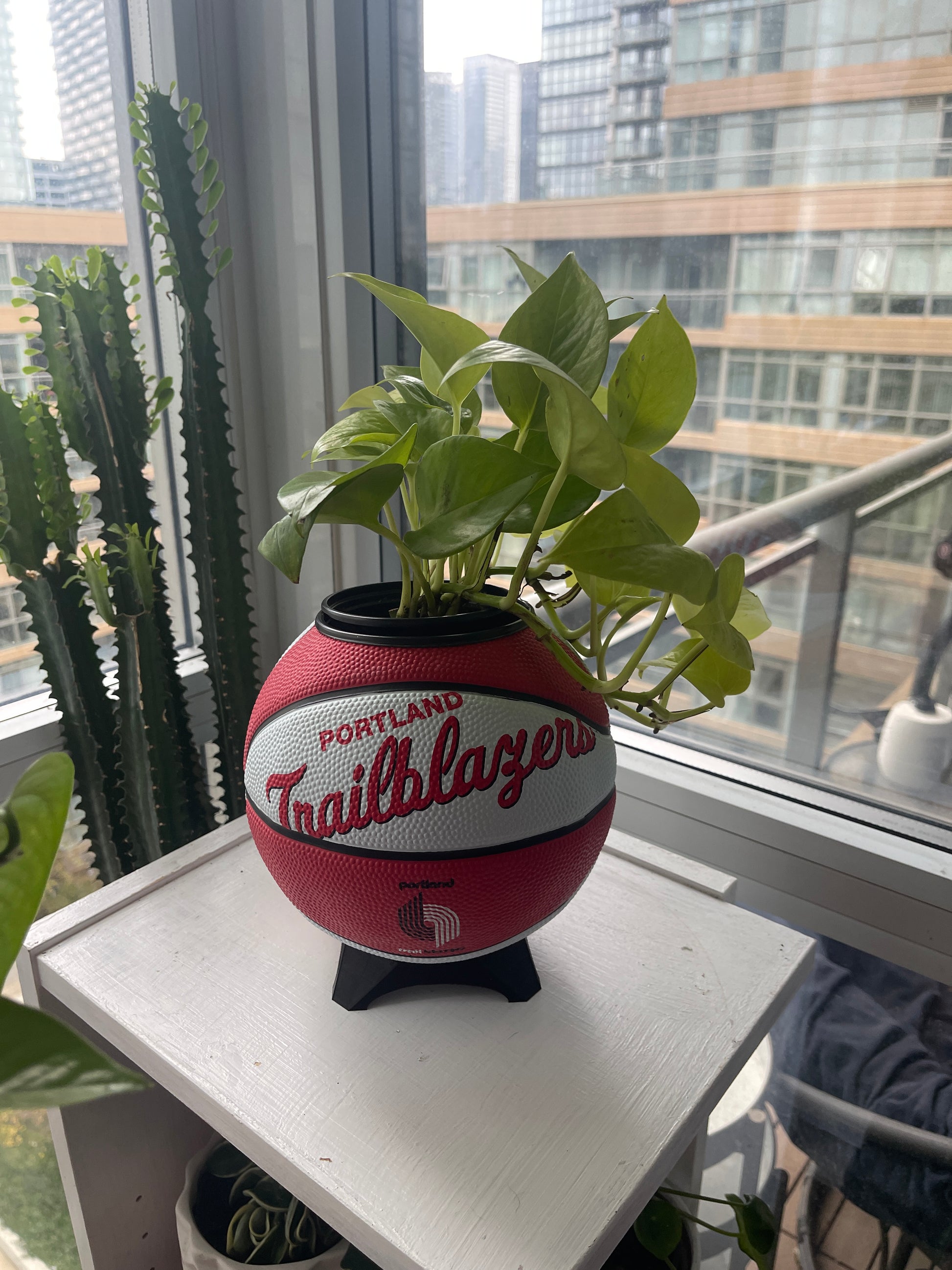 Mini Basketball Planter (Portland Trailblazers)