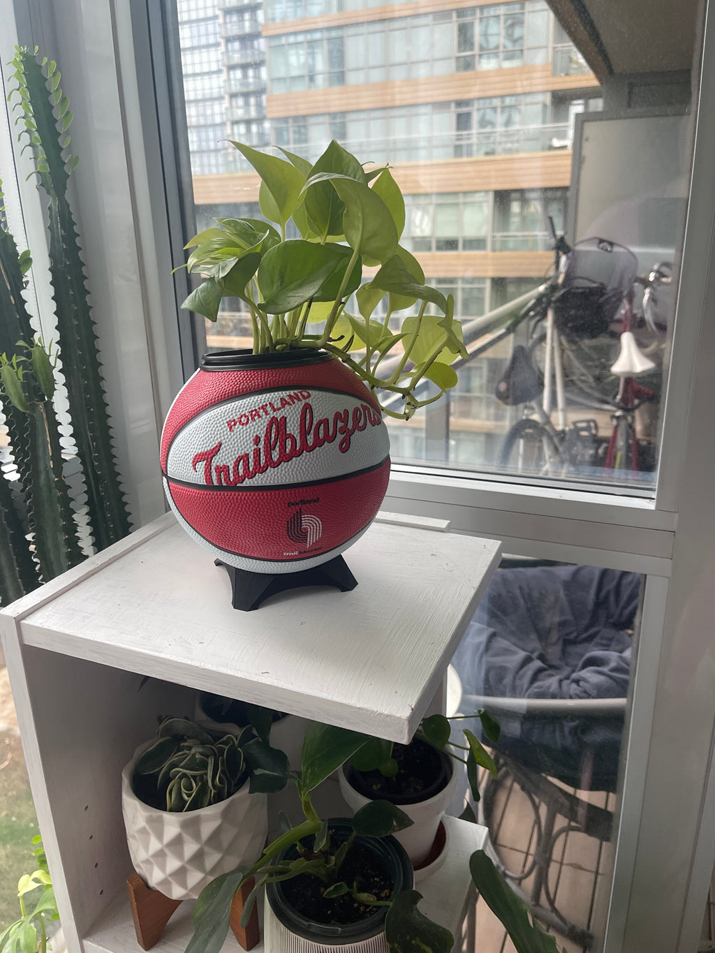 Mini Basketball Planter (Portland Trailblazers)