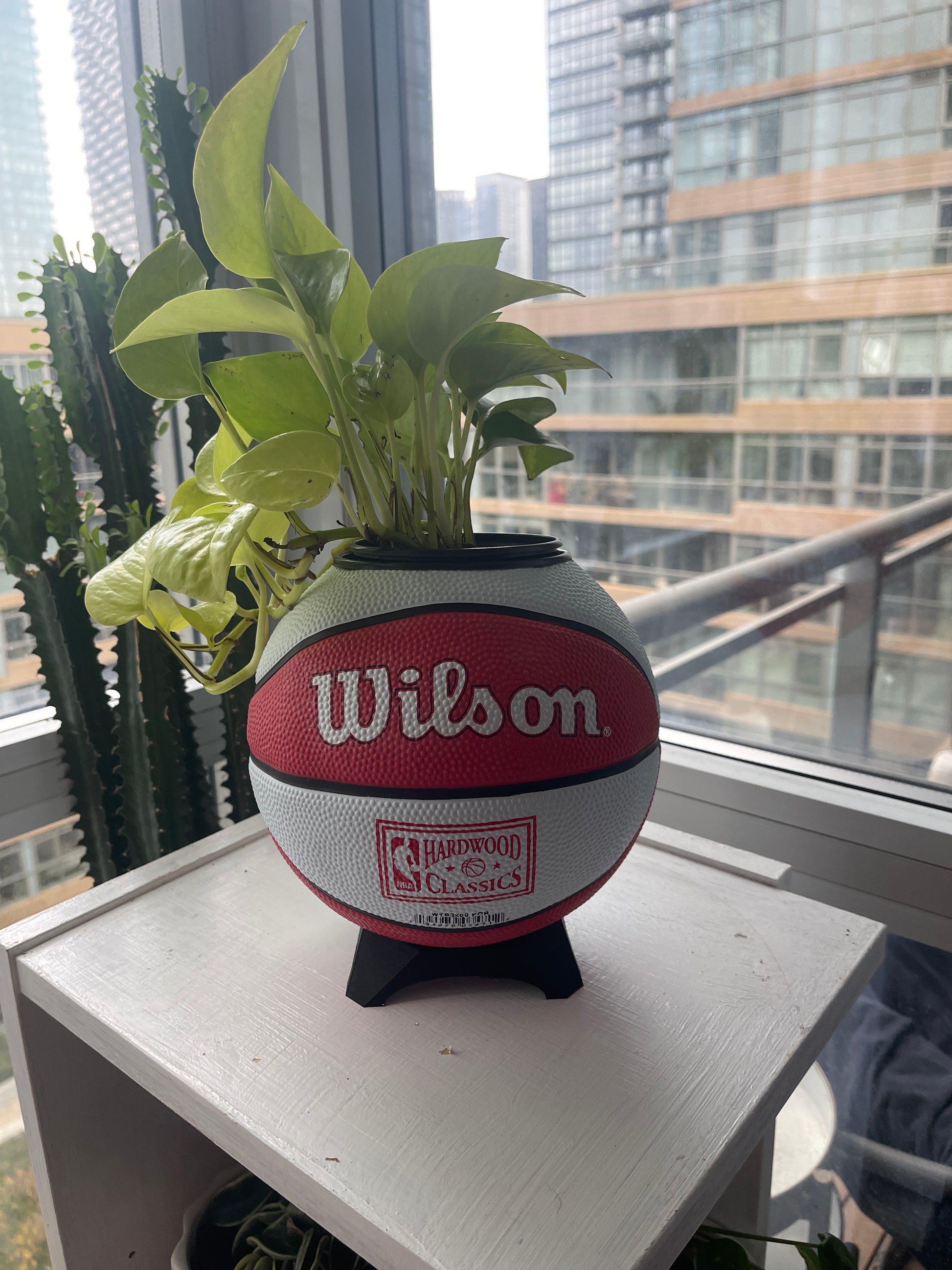 Mini Basketball Planter (Portland Trailblazers)