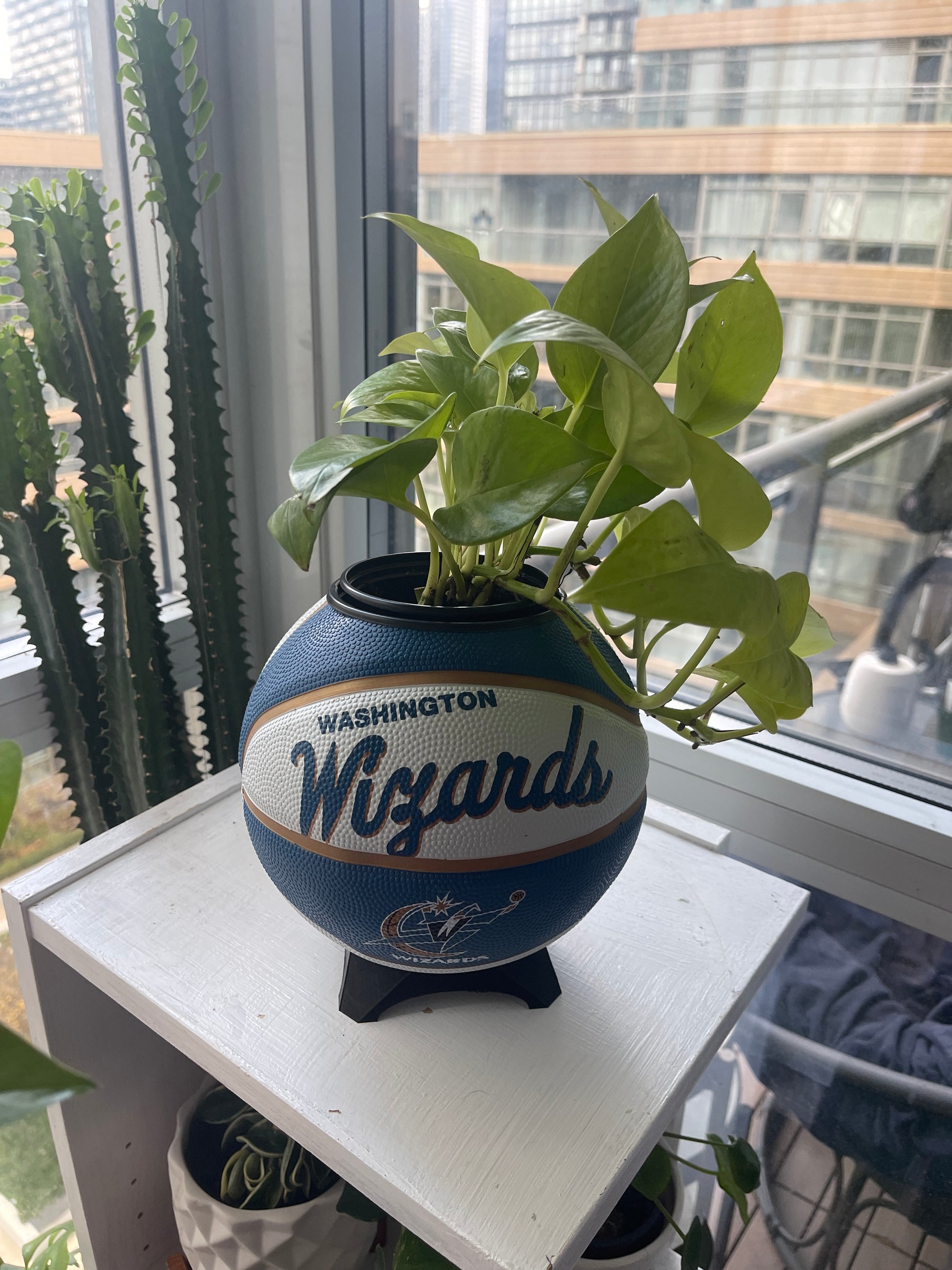 Mini Basketball Planter (Washington Wizards)