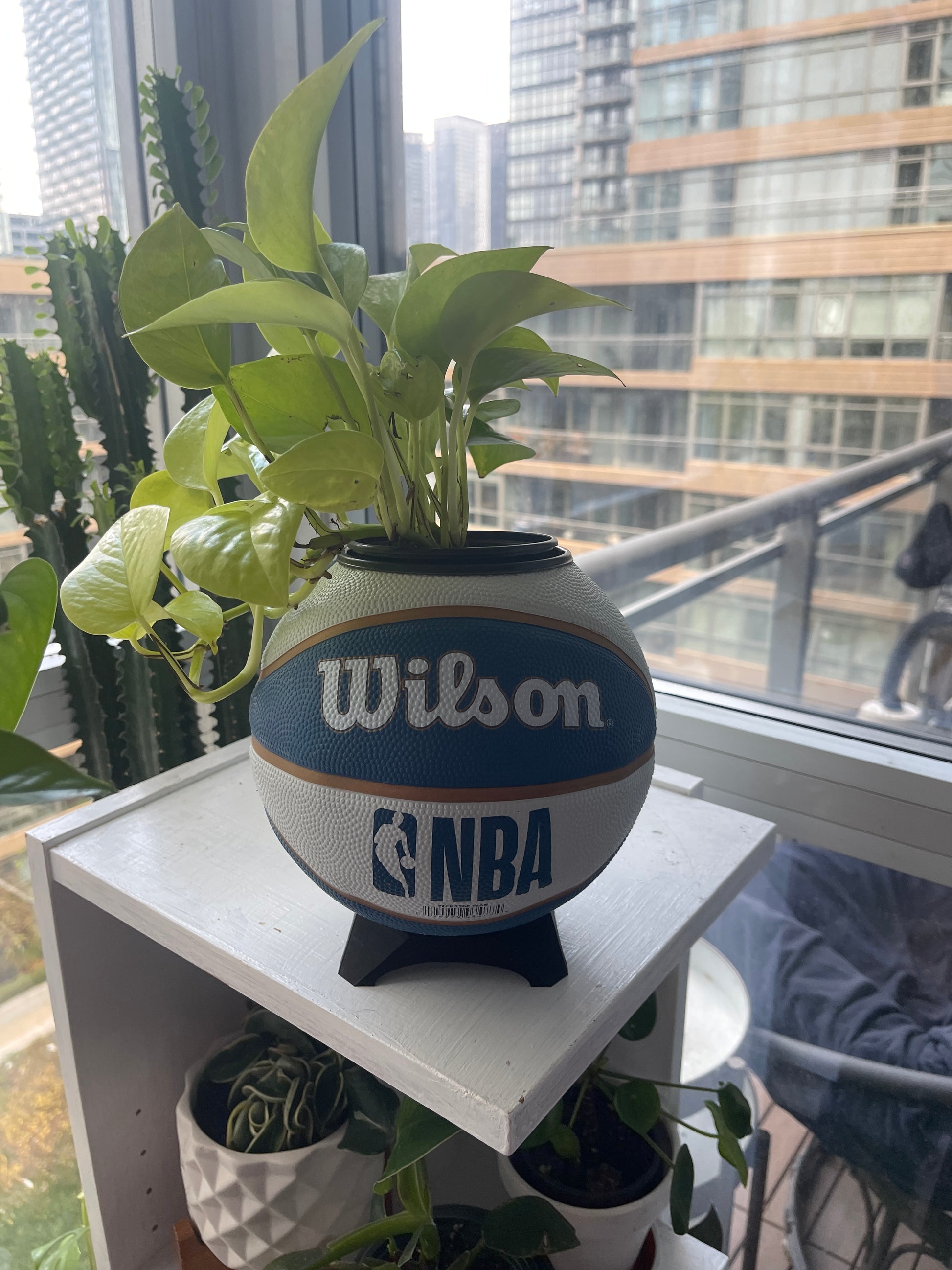 Mini Basketball Planter (Washington Wizards)