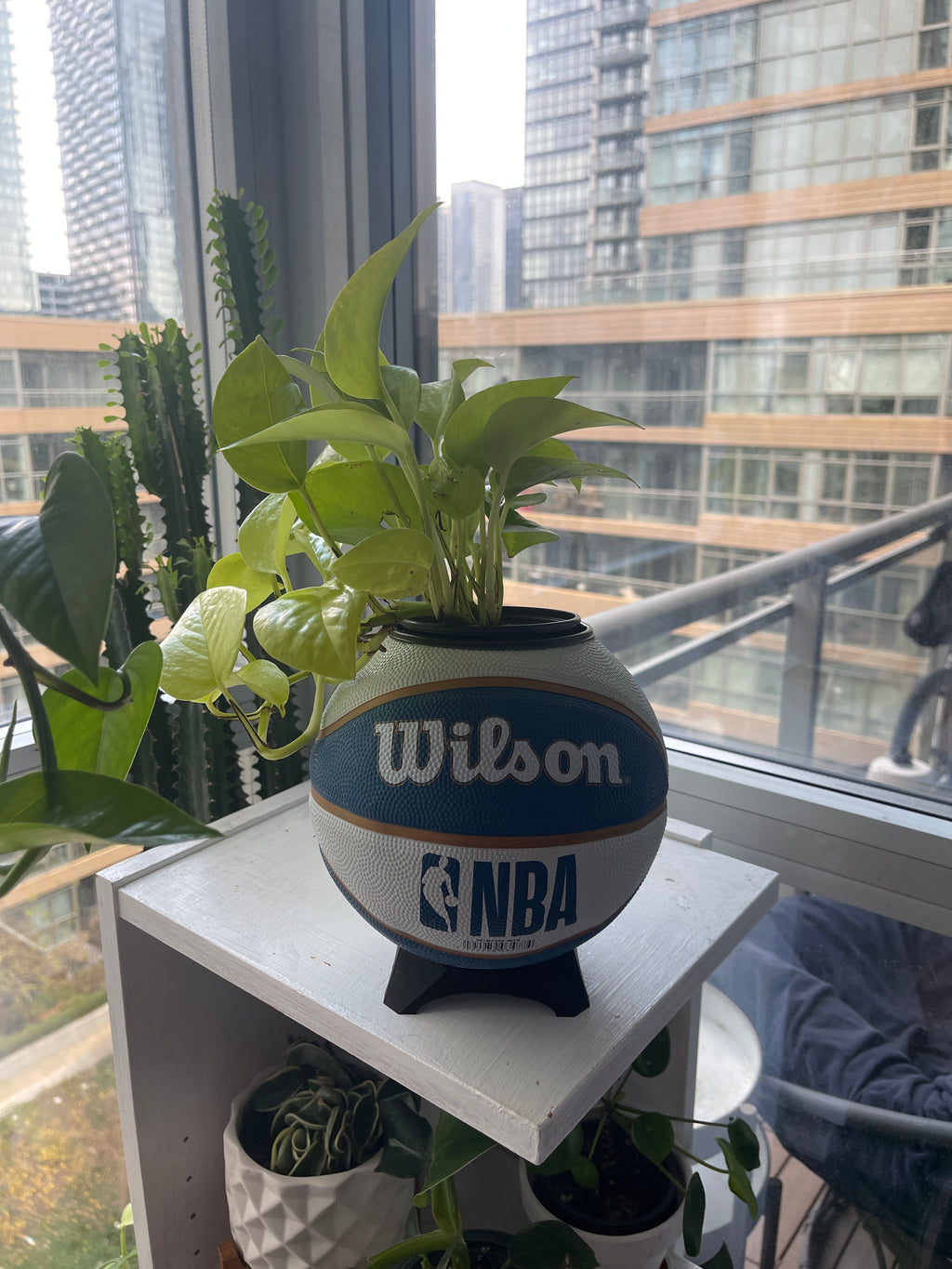 Mini Basketball Planter (Washington Wizards)
