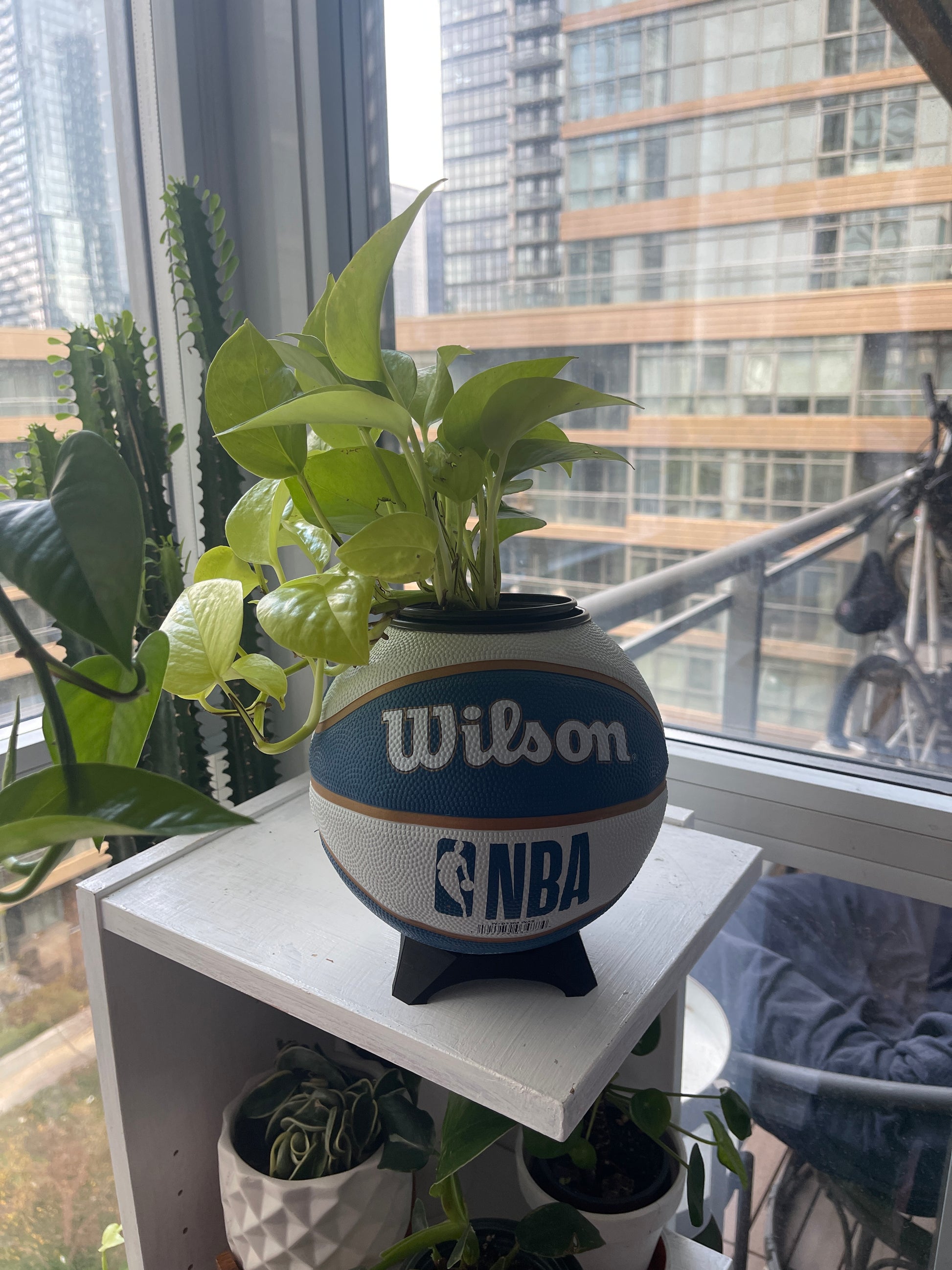 Mini Basketball Planter (Washington Wizards)