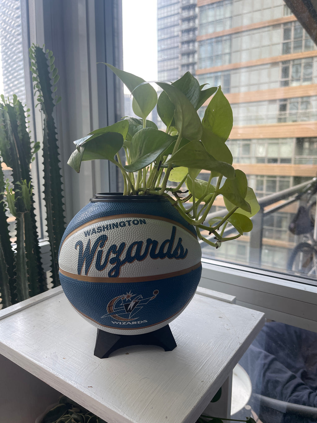 Mini Basketball Planter (Washington Wizards)