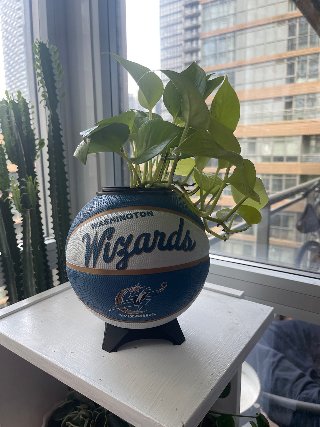 Mini Basketball Planter (Washington Wizards)