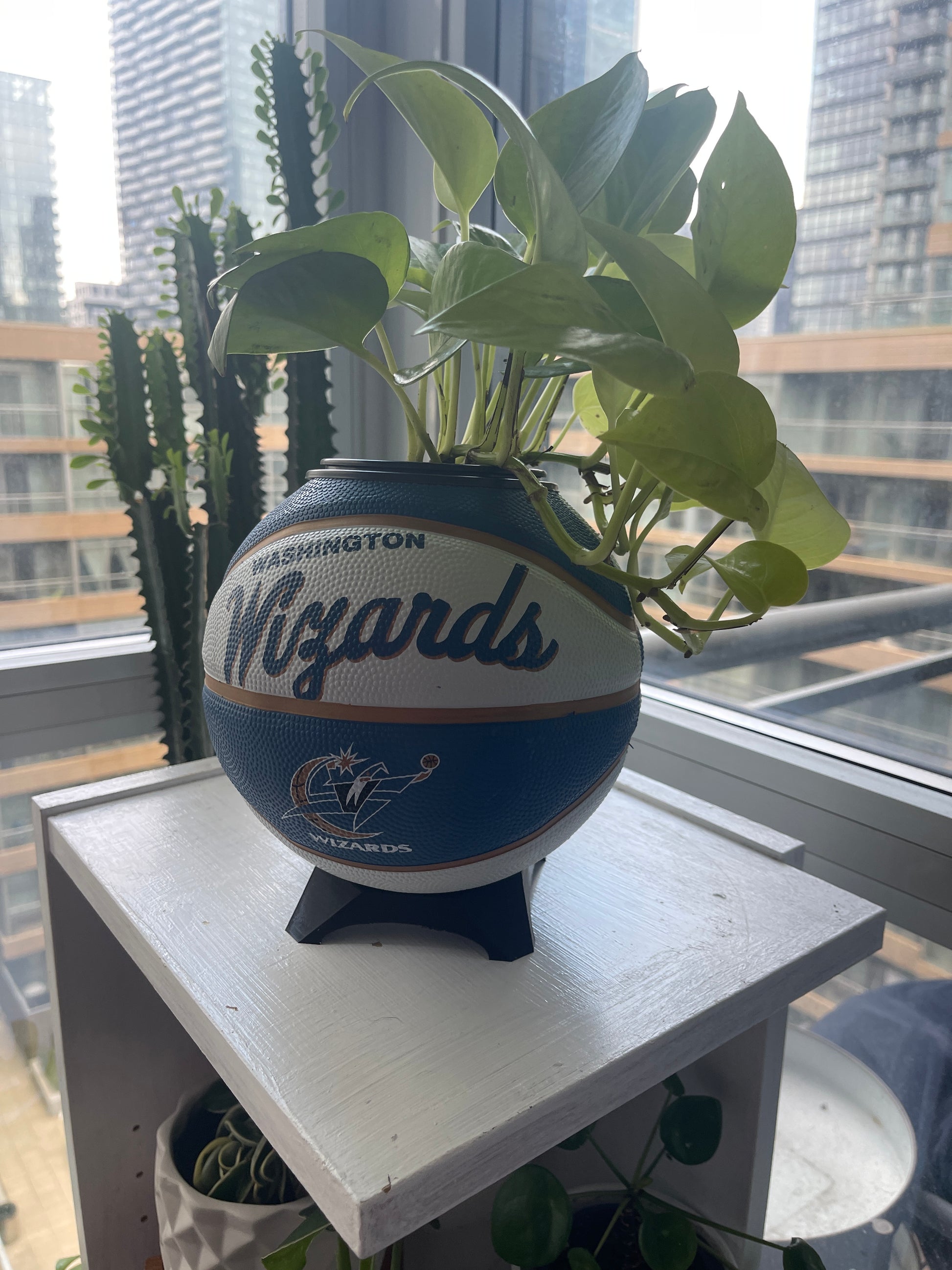 Mini Basketball Planter (Washington Wizards)
