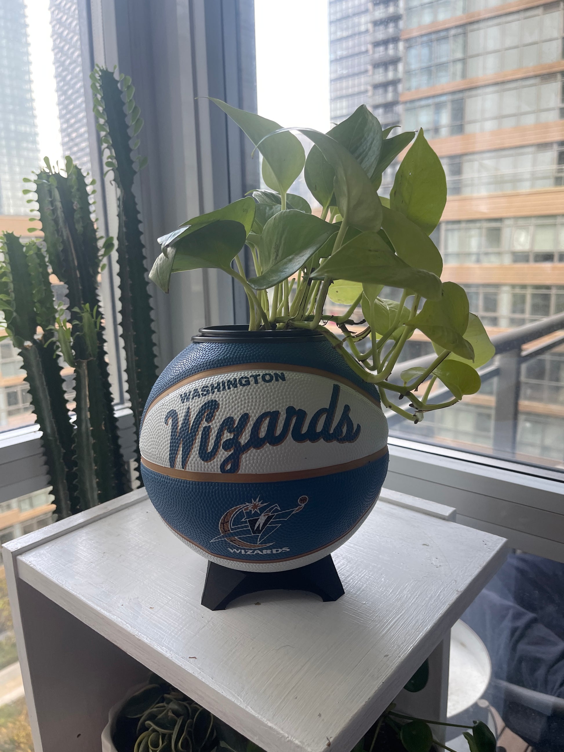 Mini Basketball Planter (Washington Wizards)