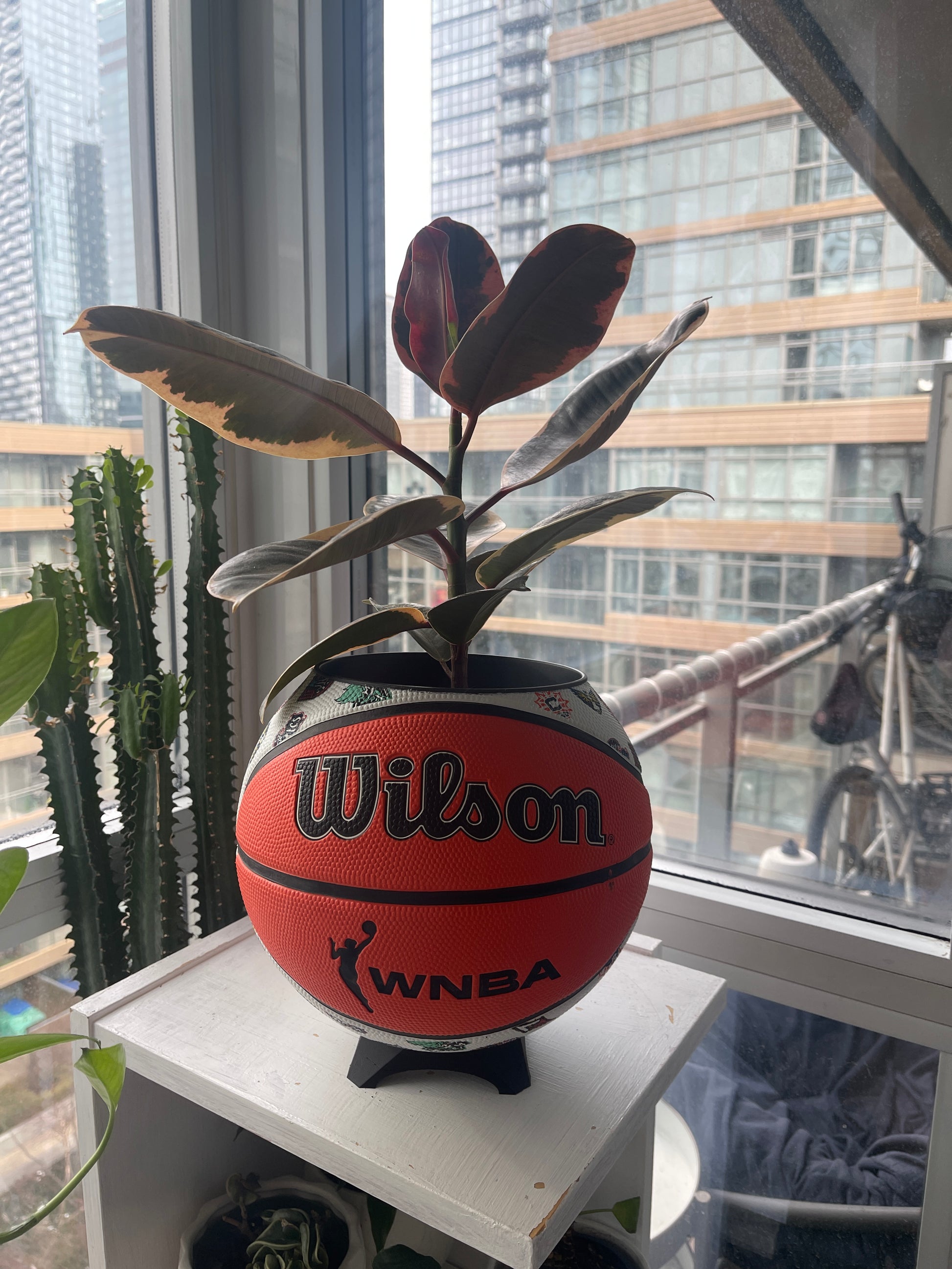 Large Basketball Planter (WNBA All Teams)
