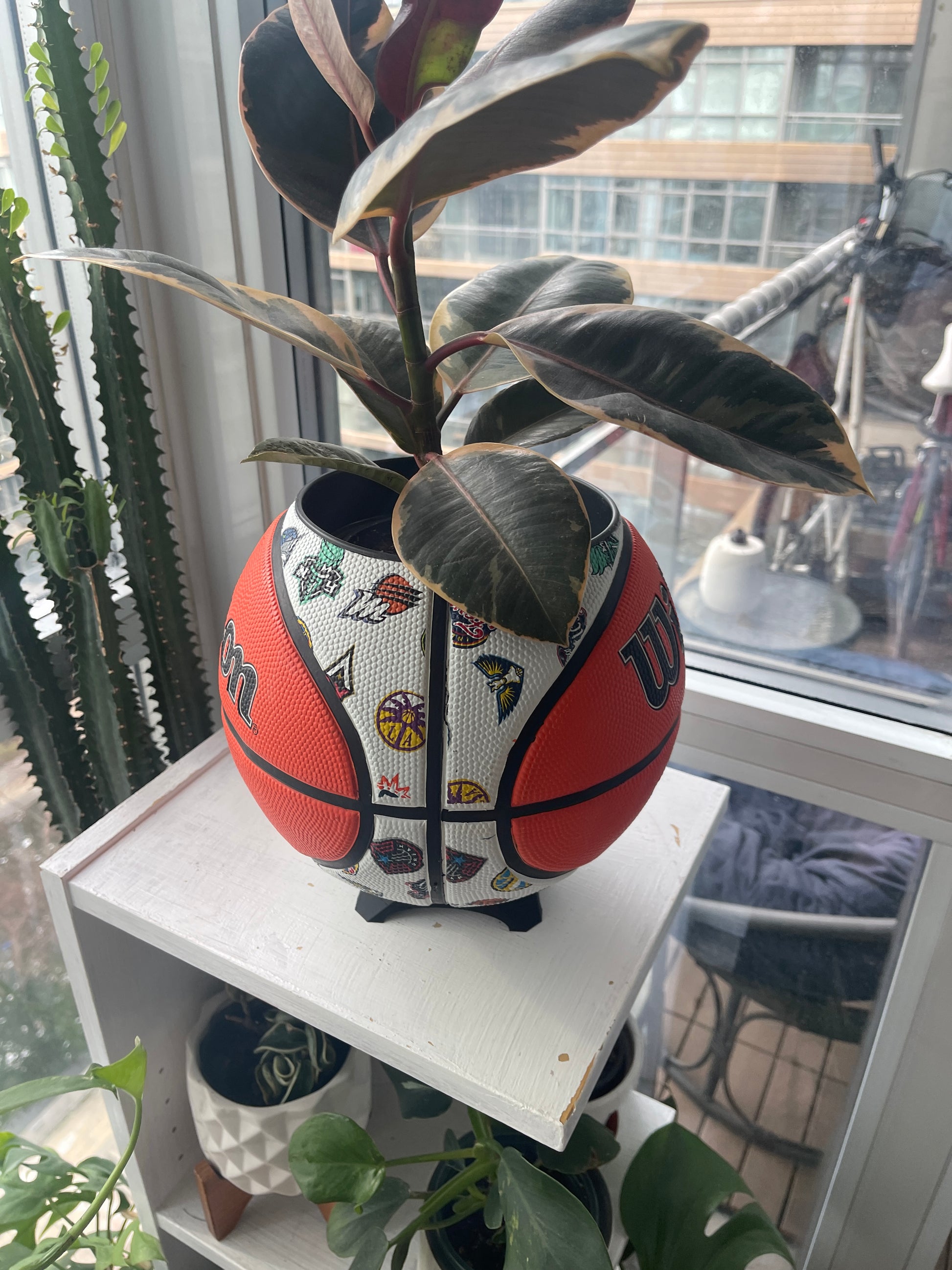 Large Basketball Planter (WNBA All Teams)