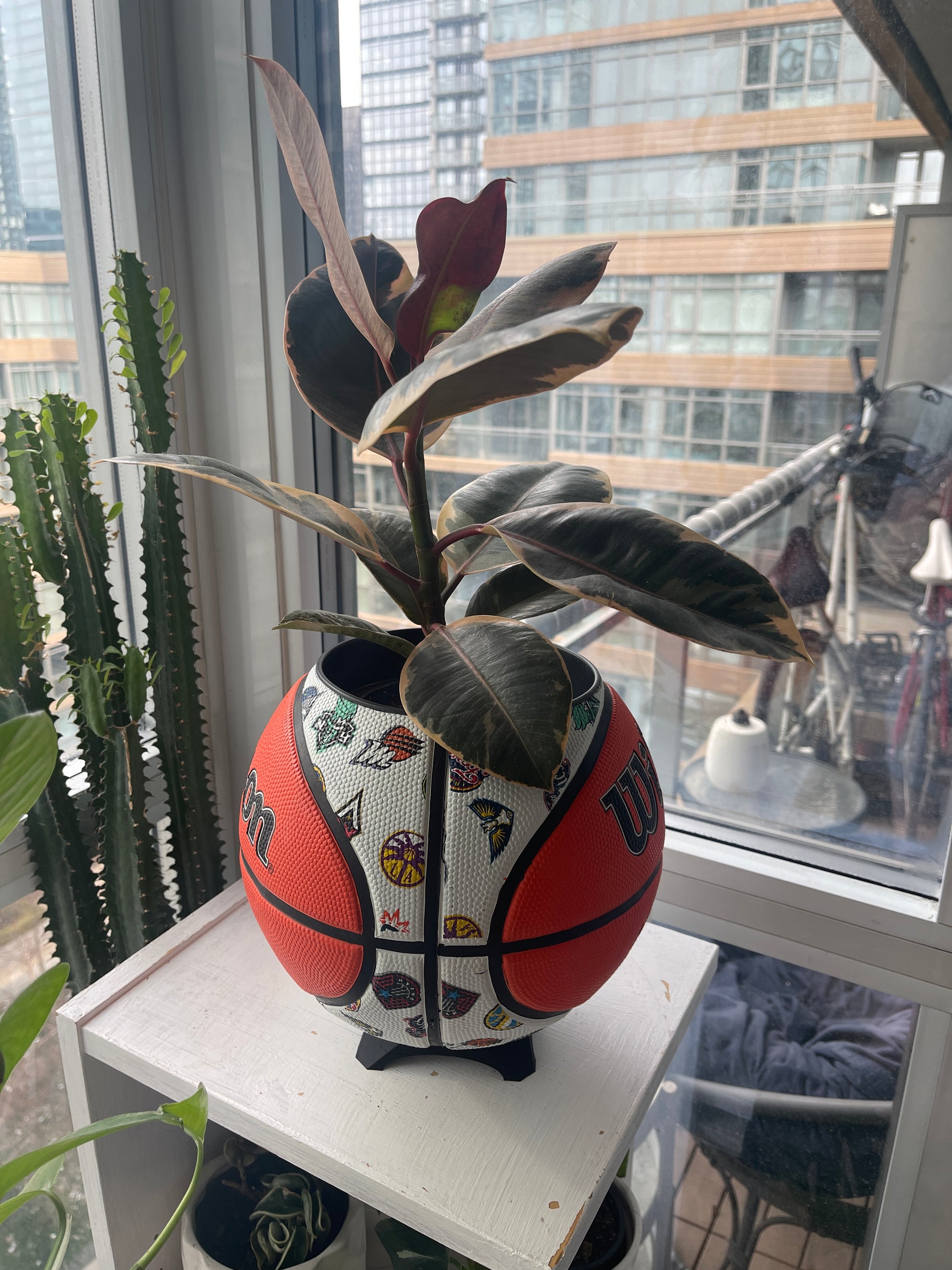 Large Basketball Planter (WNBA All Teams)
