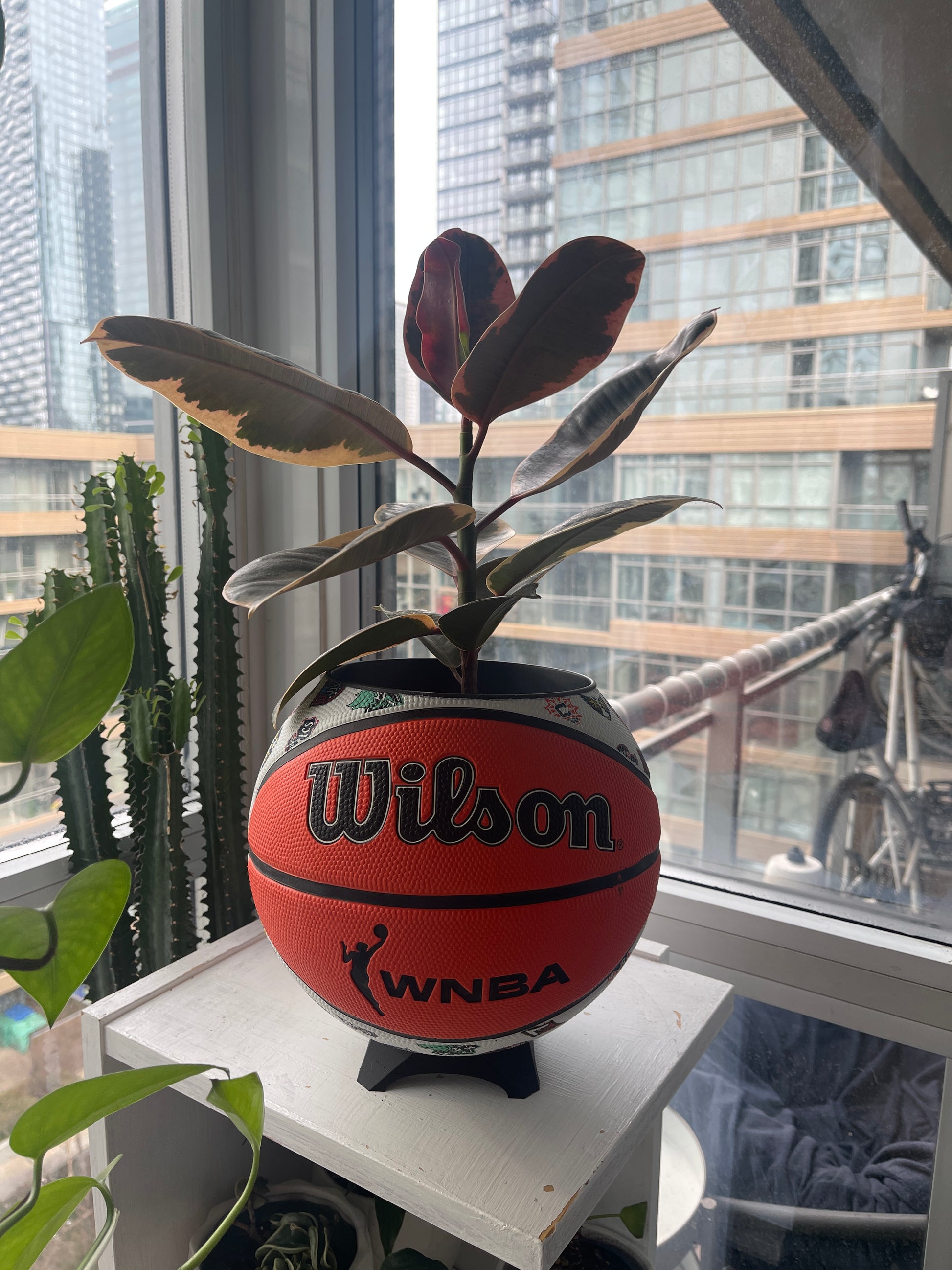 Large Basketball Planter (WNBA All Teams)
