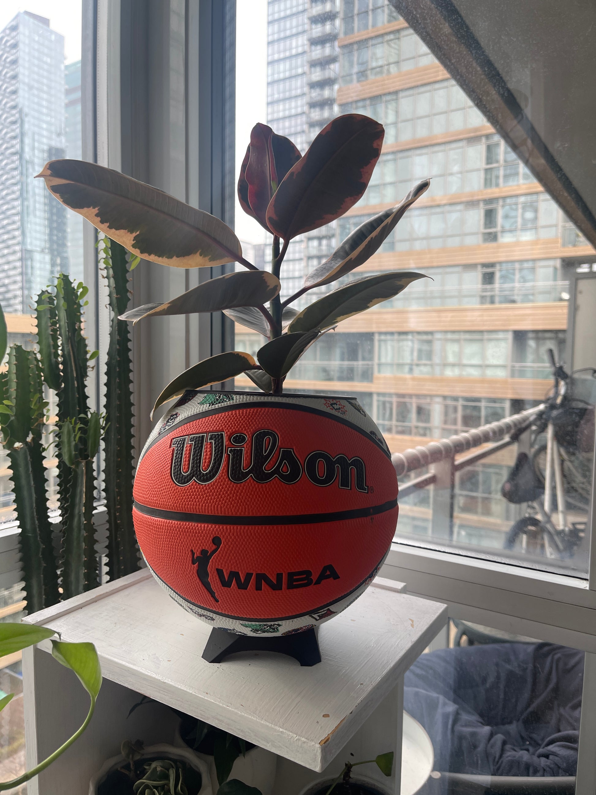 Large Basketball Planter (WNBA All Teams)