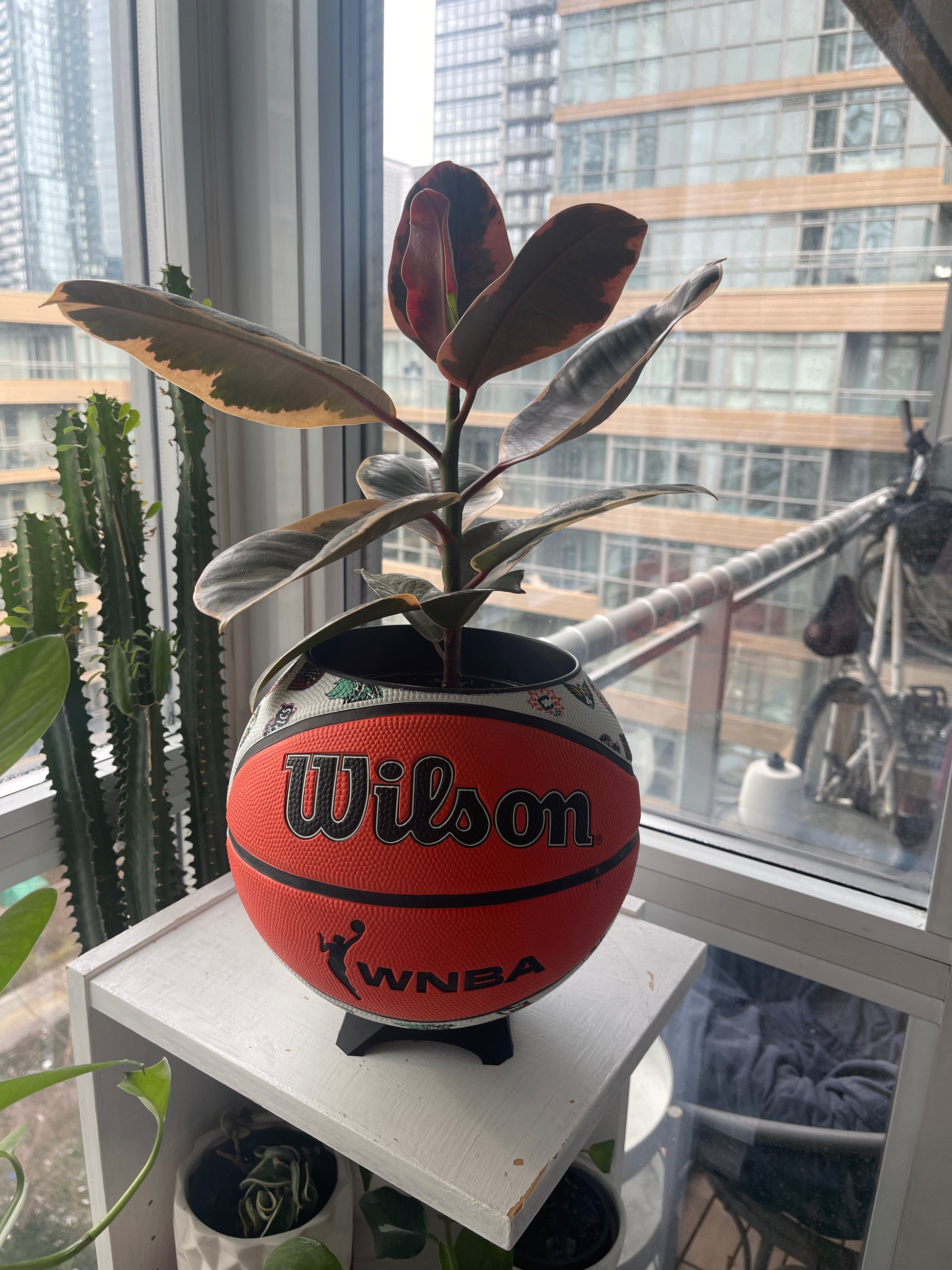 Large Basketball Planter (WNBA All Teams)