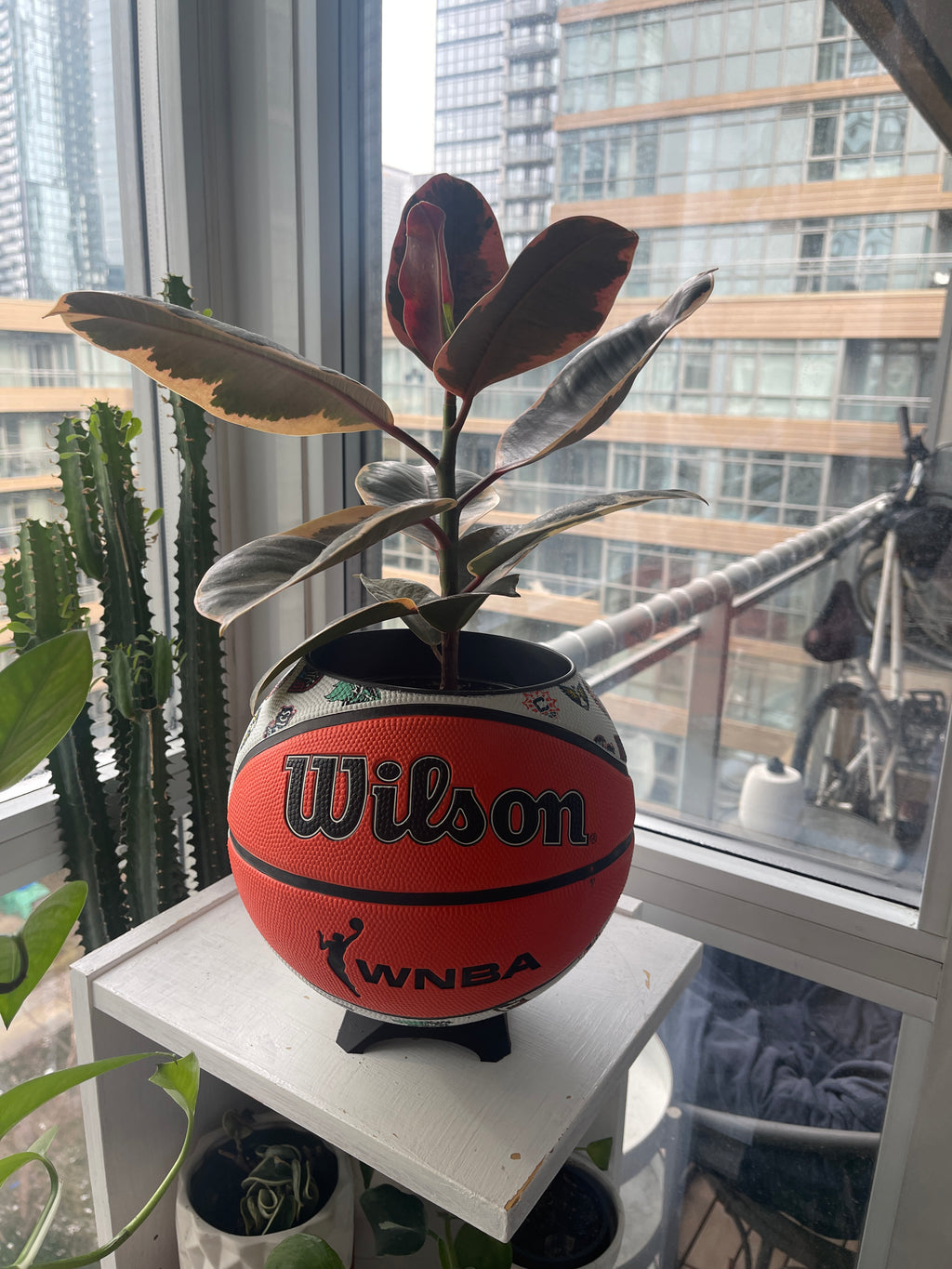 Large Basketball Planter (WNBA All Teams)