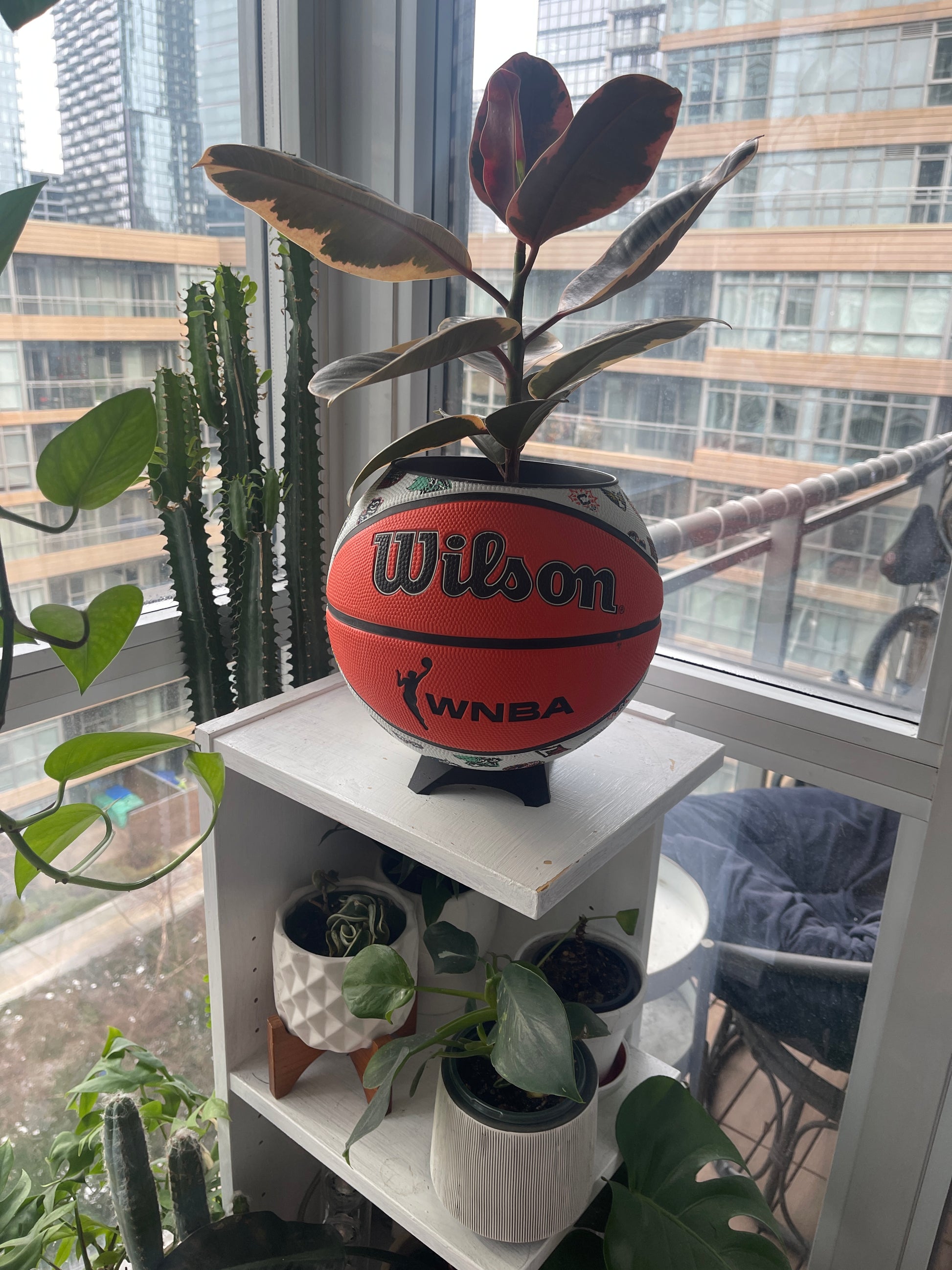 Large Basketball Planter (WNBA All Teams)