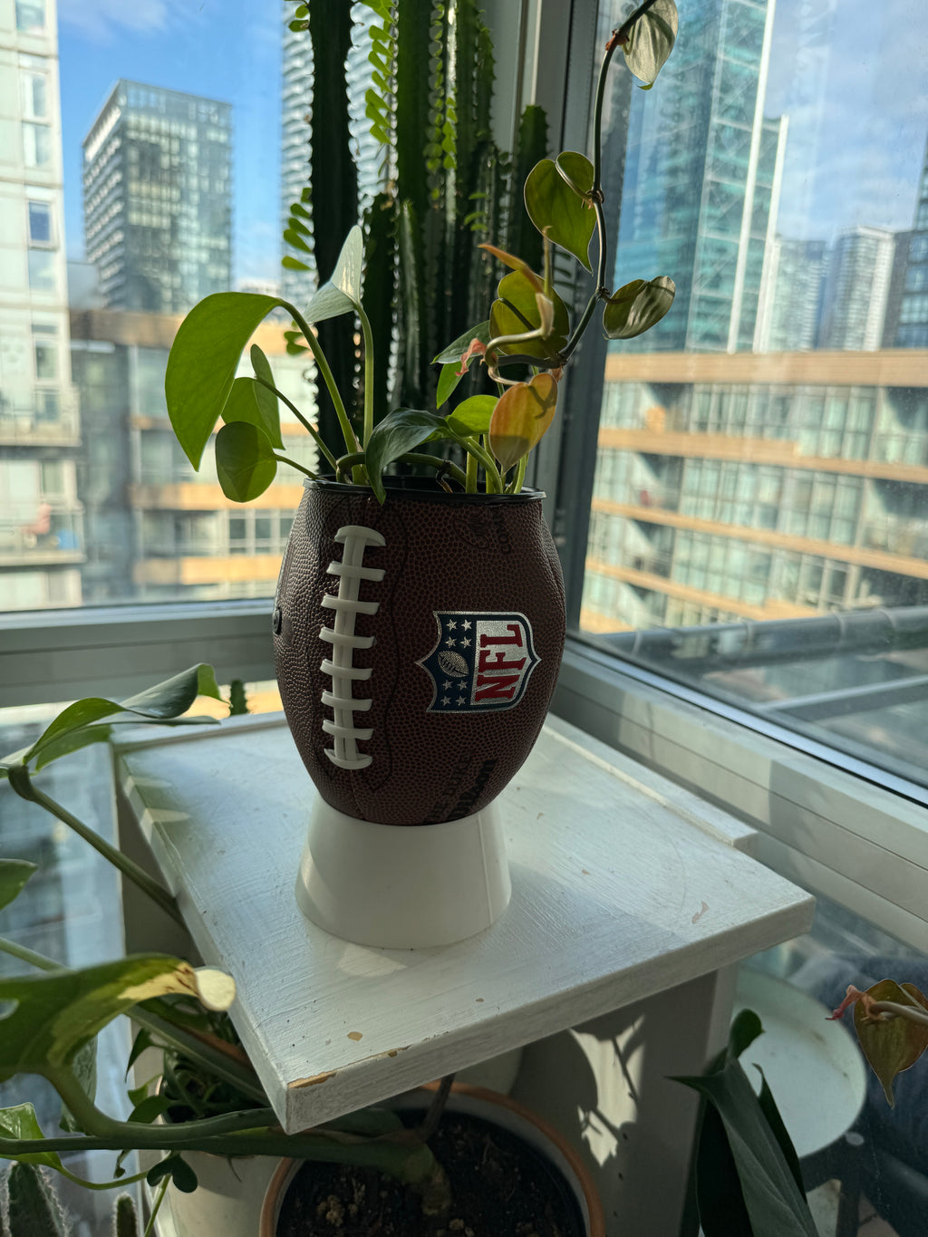 Mini Football Planter (The NFL OG)