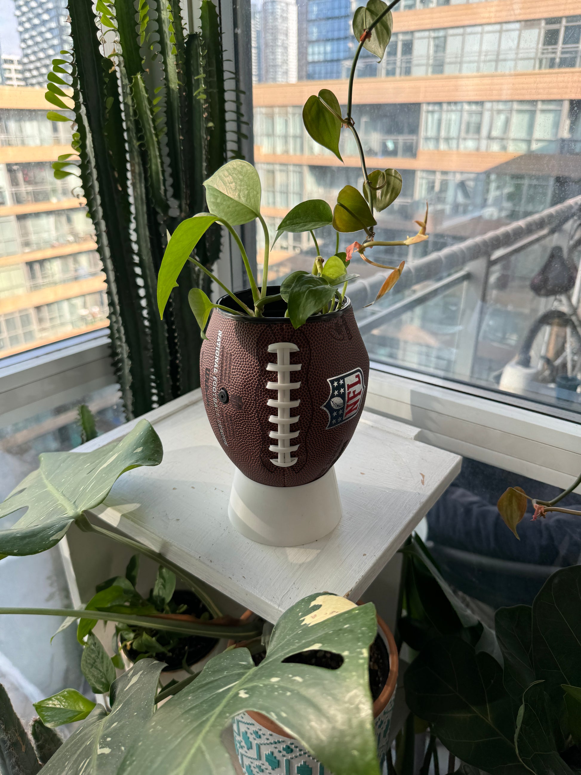 Mini Football Planter (The NFL OG)
