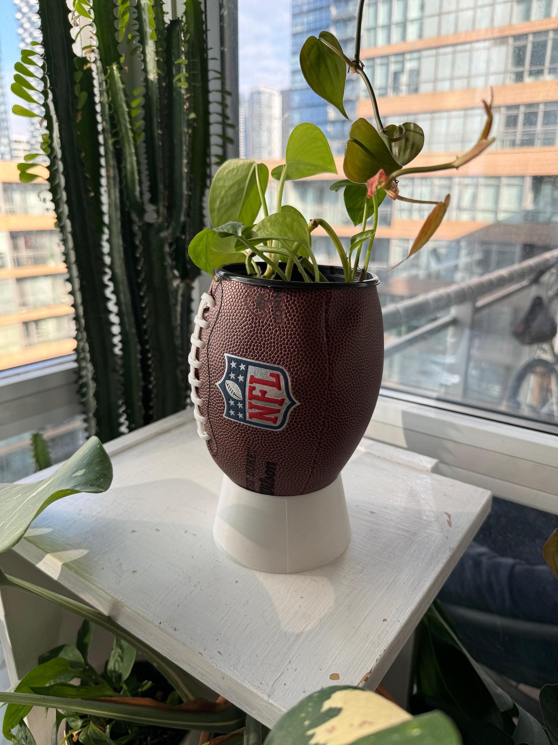Mini Football Planter (The NFL OG)