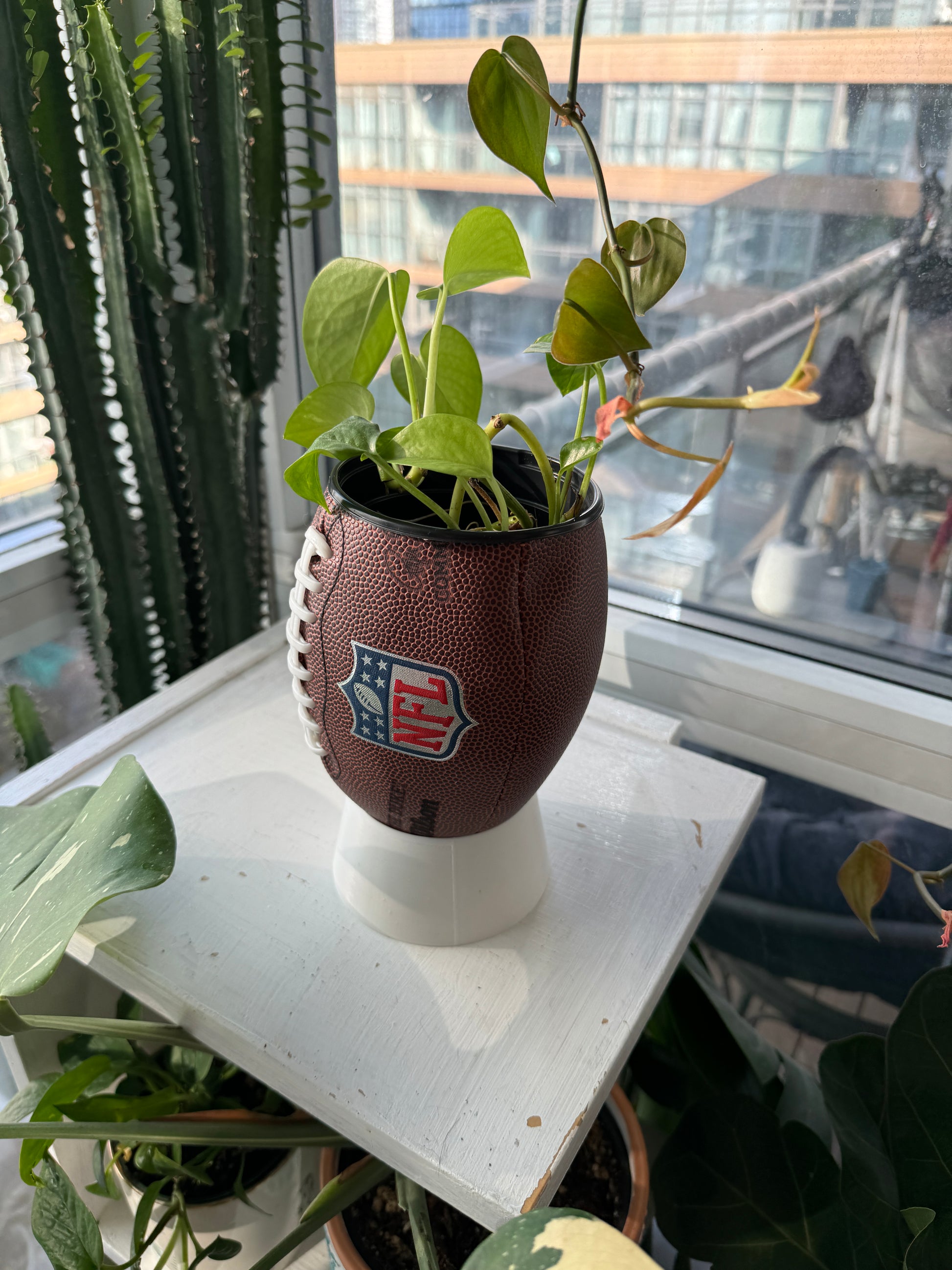 Mini Football Planter (The NFL OG)