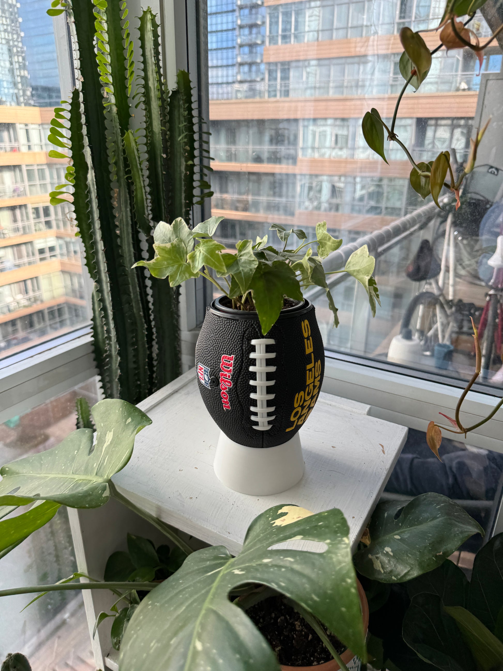 Mini Football Planter (Los Angeles Rams)