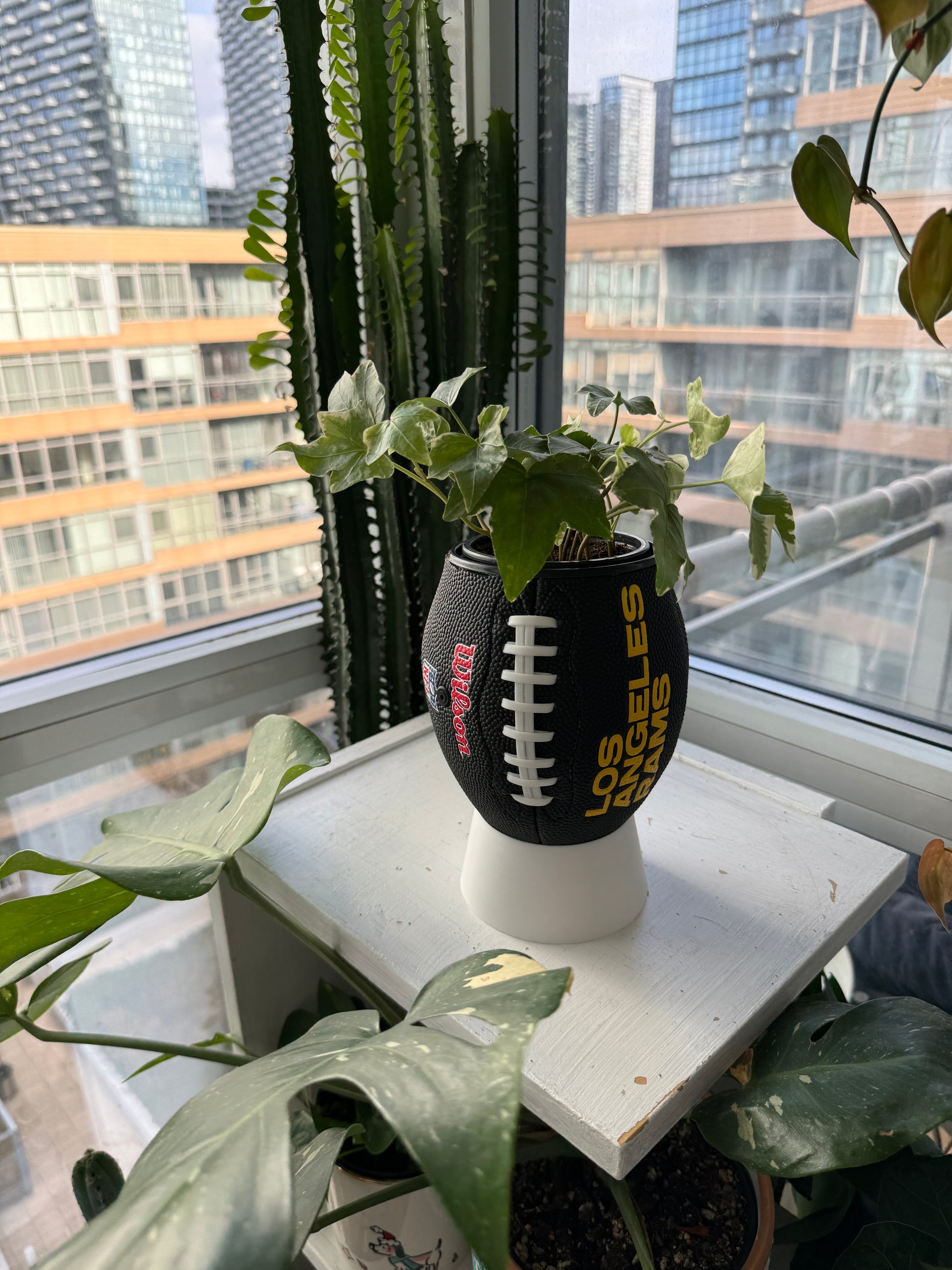 Mini Football Planter (Los Angeles Rams)
