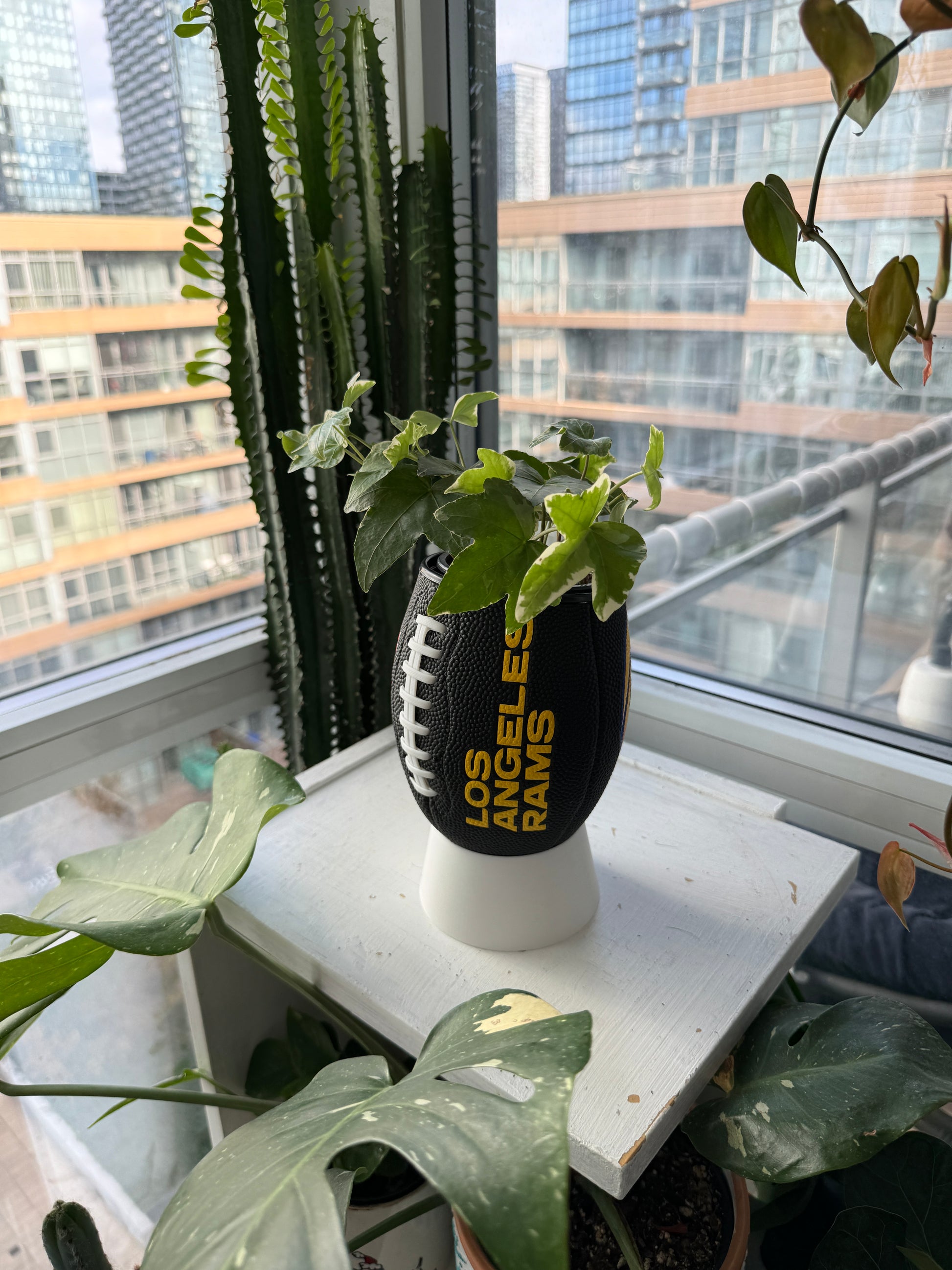 Mini Football Planter (Los Angeles Rams)