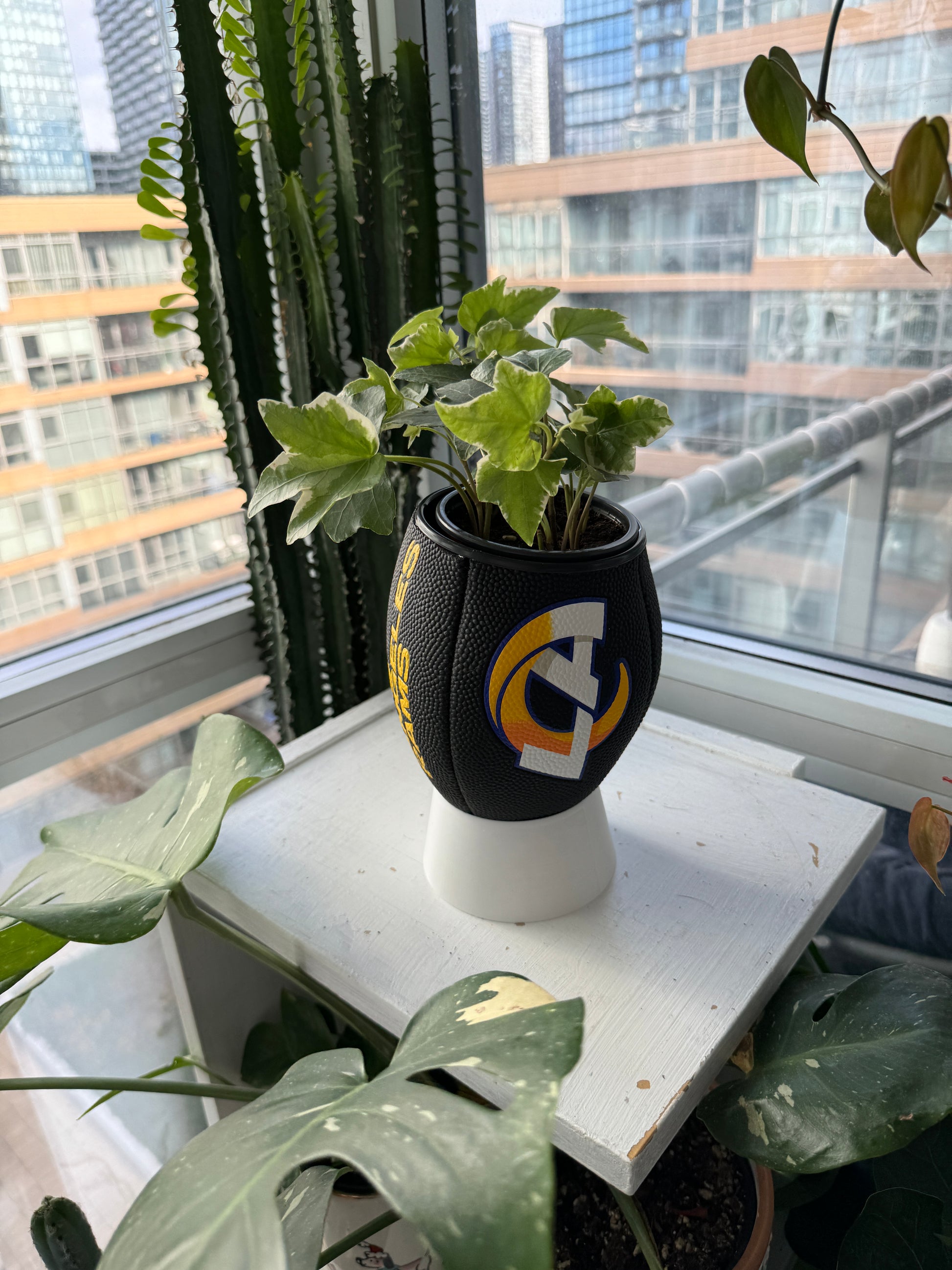 Mini Football Planter (Los Angeles Rams)