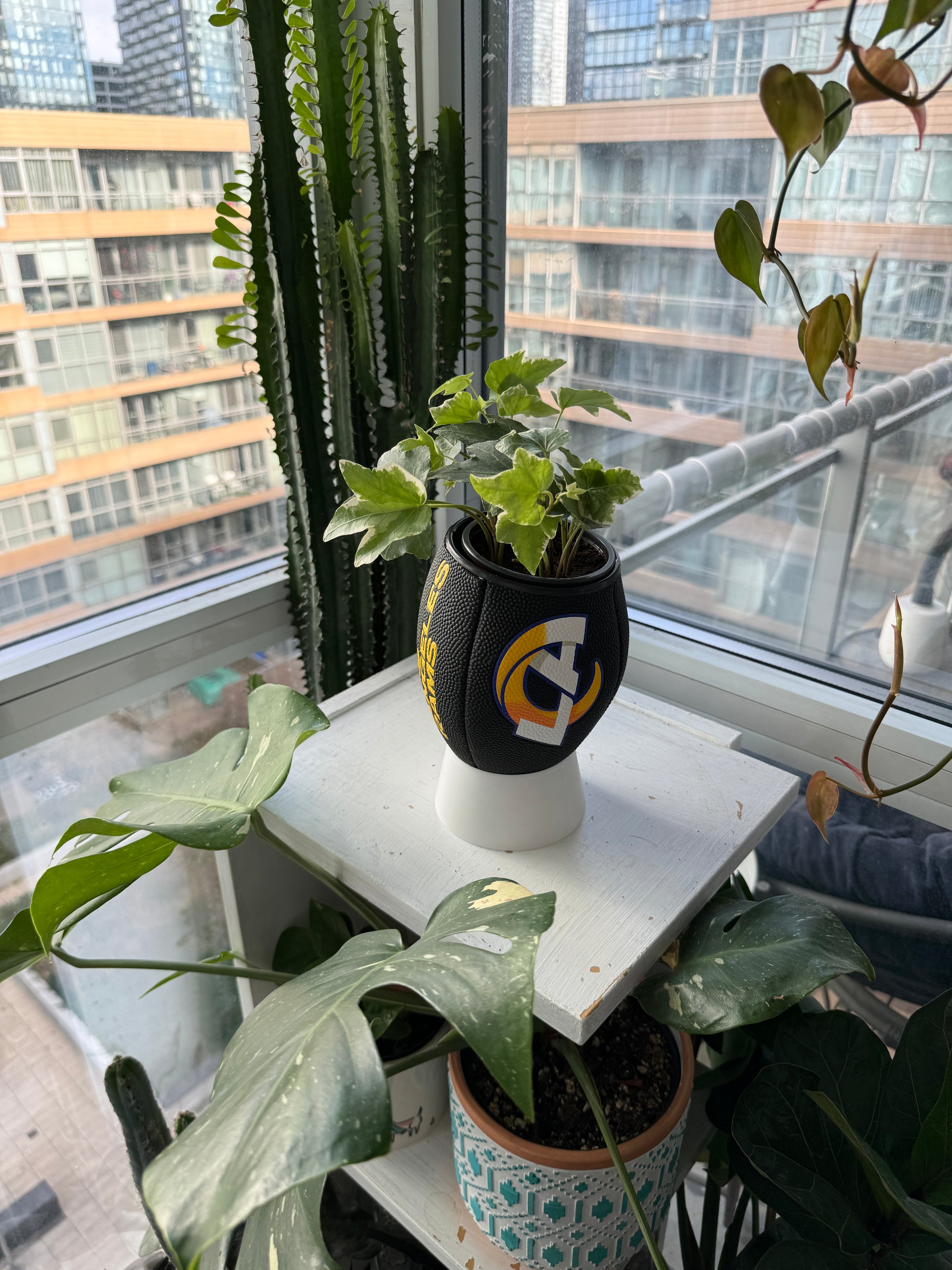 Mini Football Planter (Los Angeles Rams)