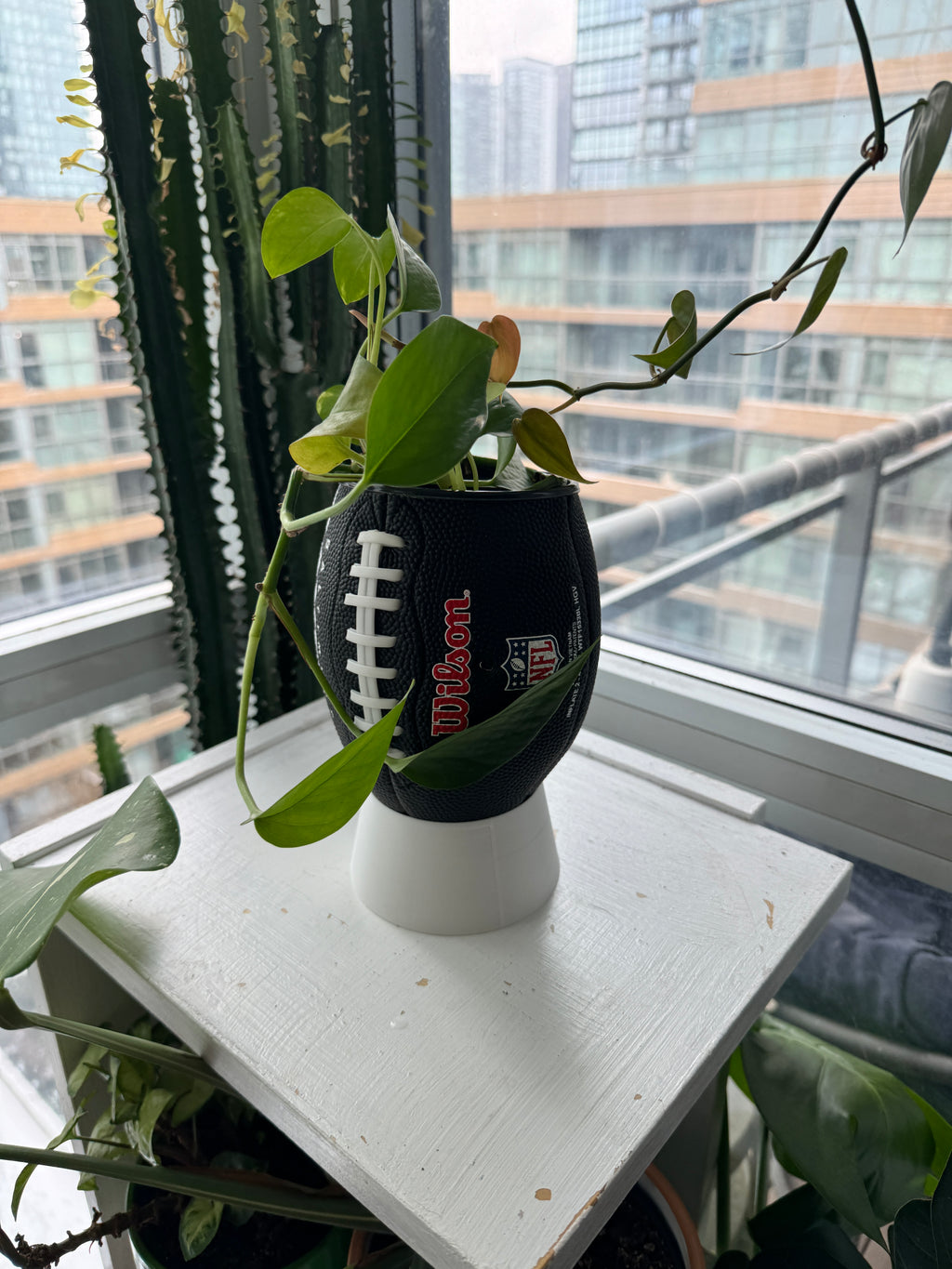 Mini Football Planter (Cleveland Browns)