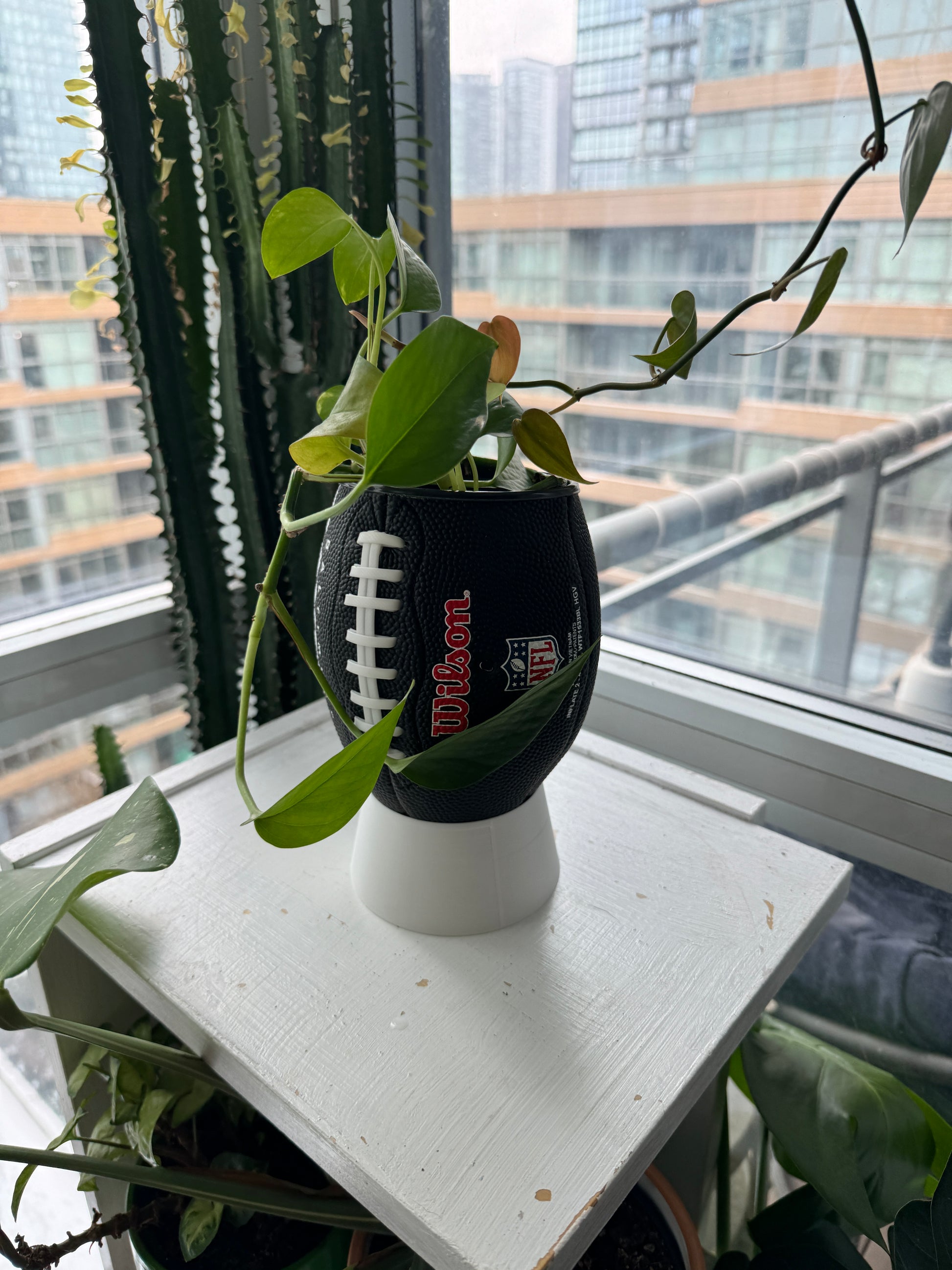 Mini Football Planter (Cleveland Browns)